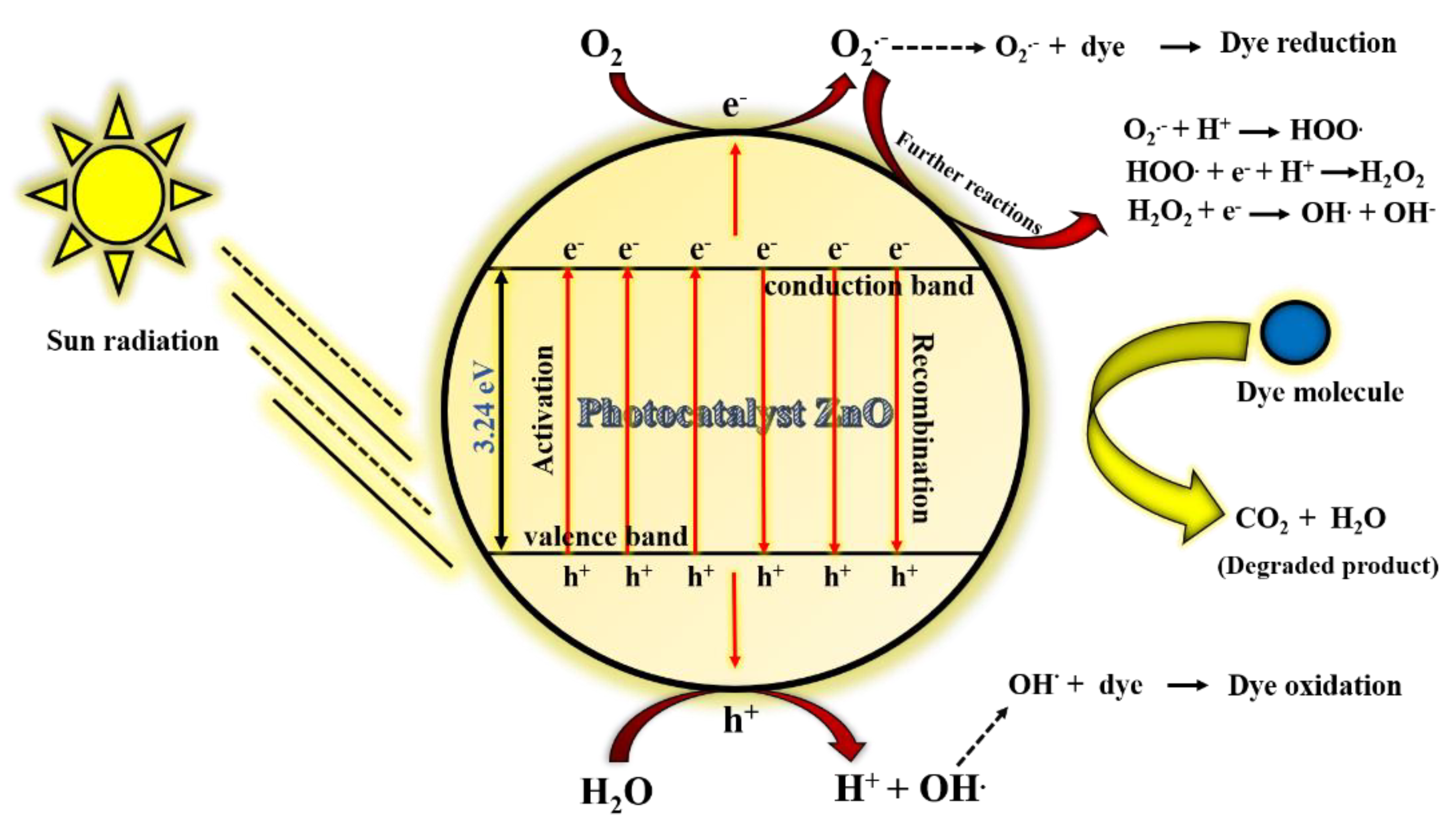 Nanomaterials 11 01558 g008
