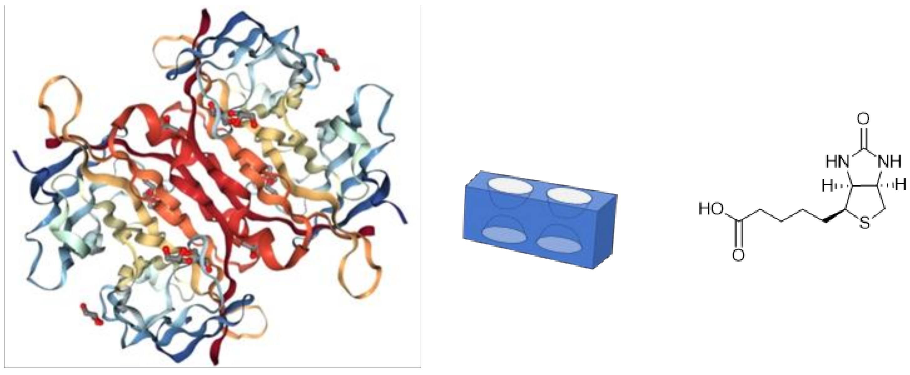 Nanomaterials 11 01559 g001