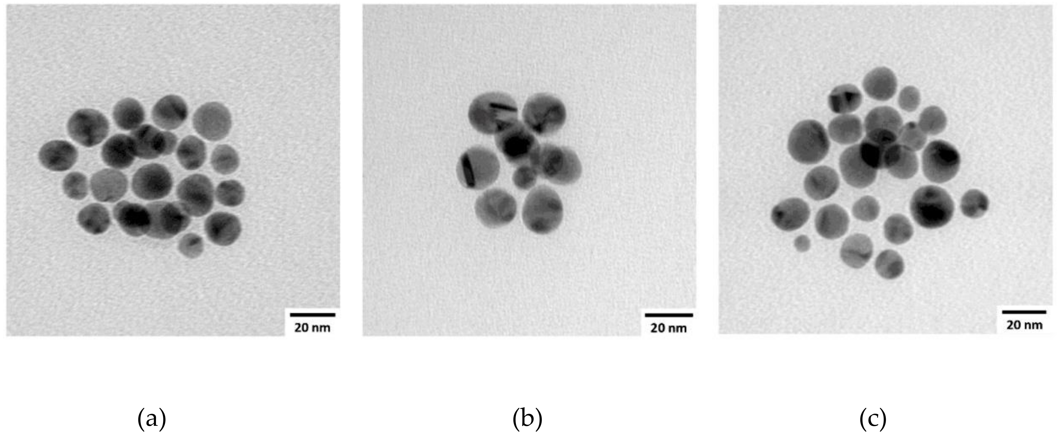 Nanomaterials 11 01559 g007