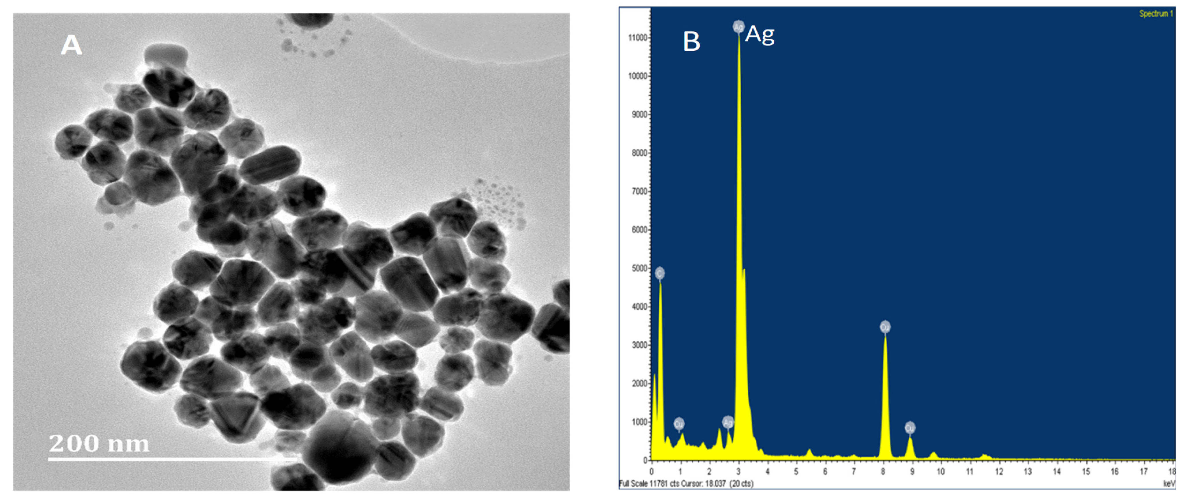 Nanomaterials 11 01568 g001