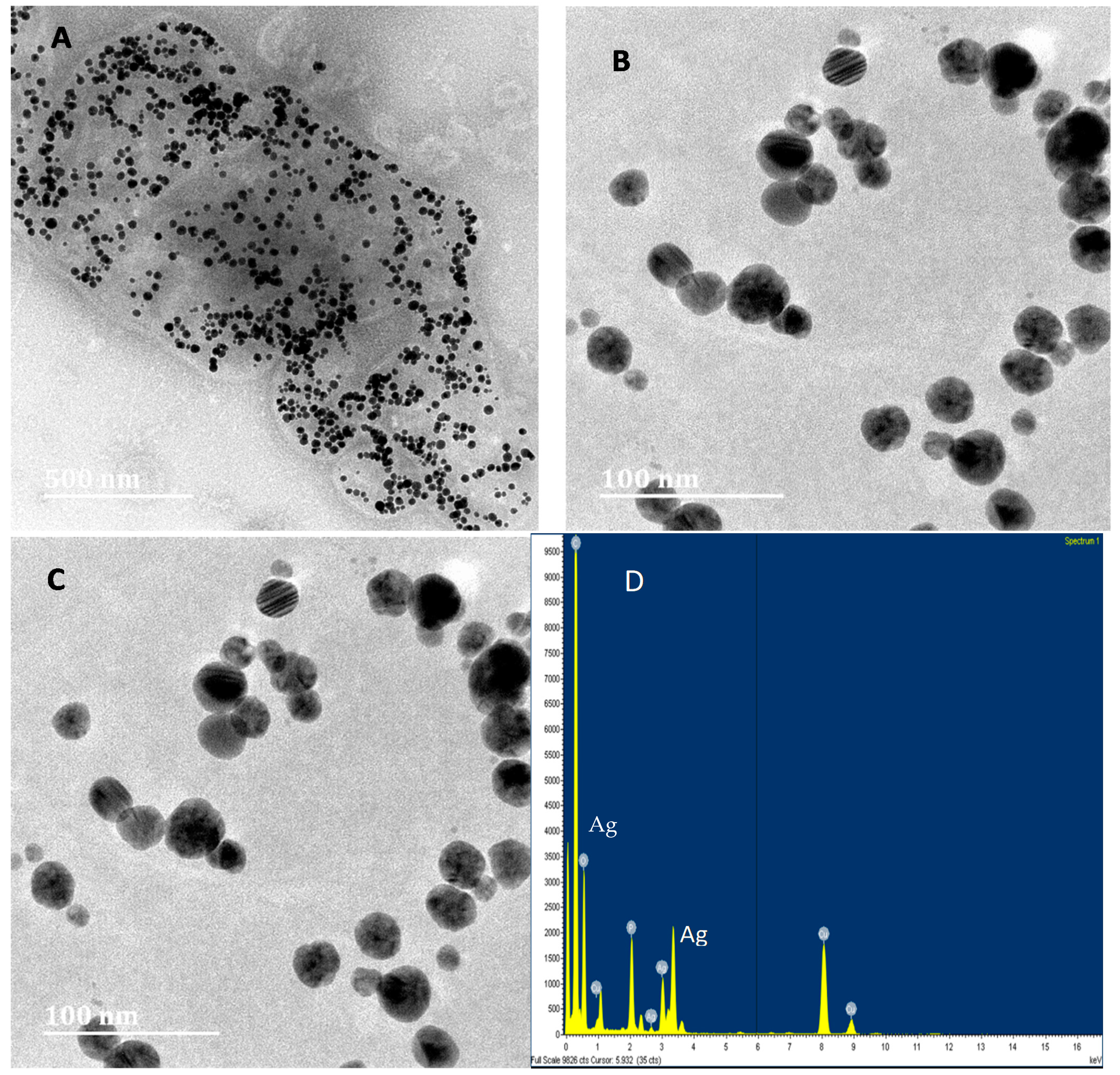 Nanomaterials 11 01568 g002