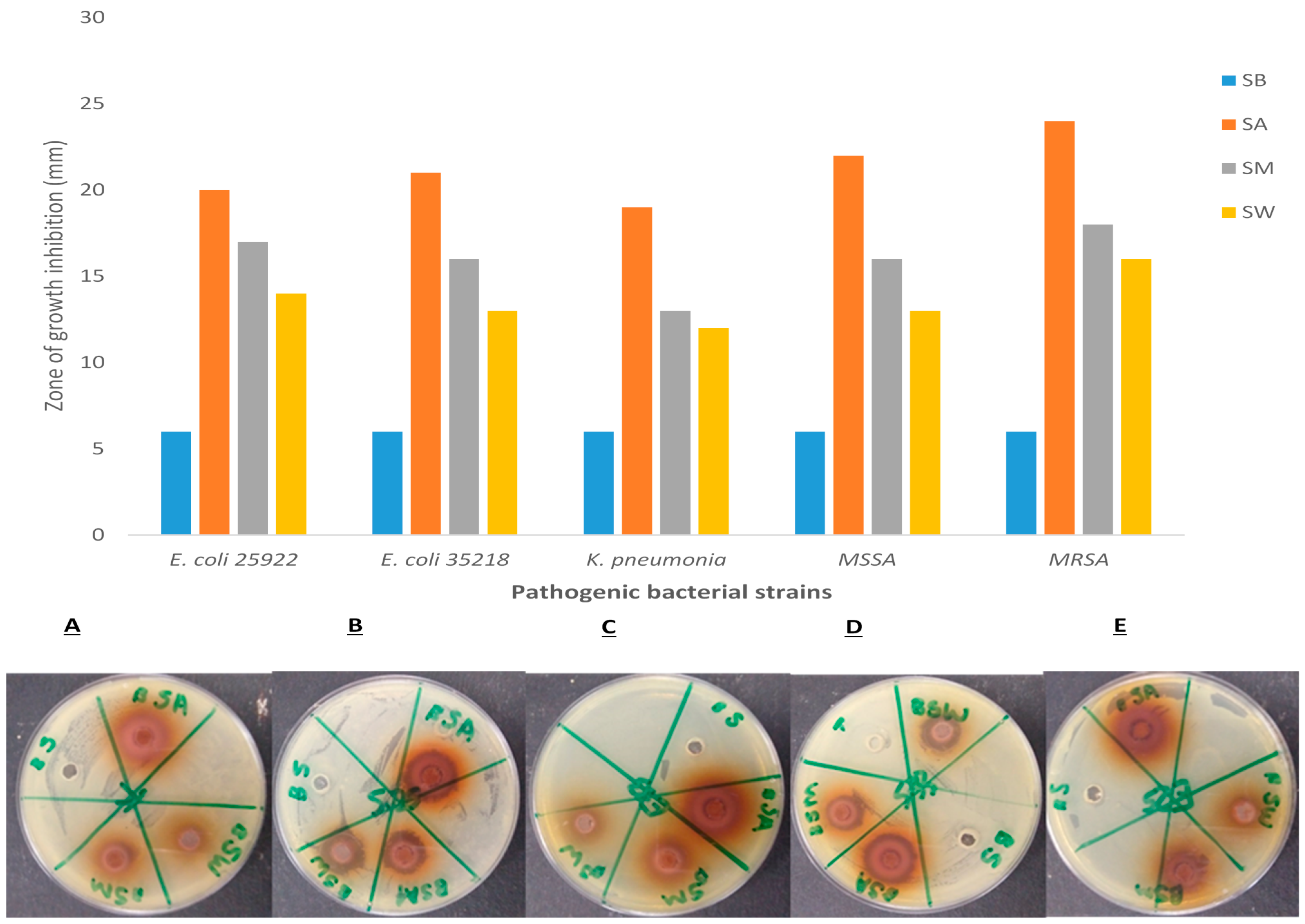 Nanomaterials 11 01568 g005
