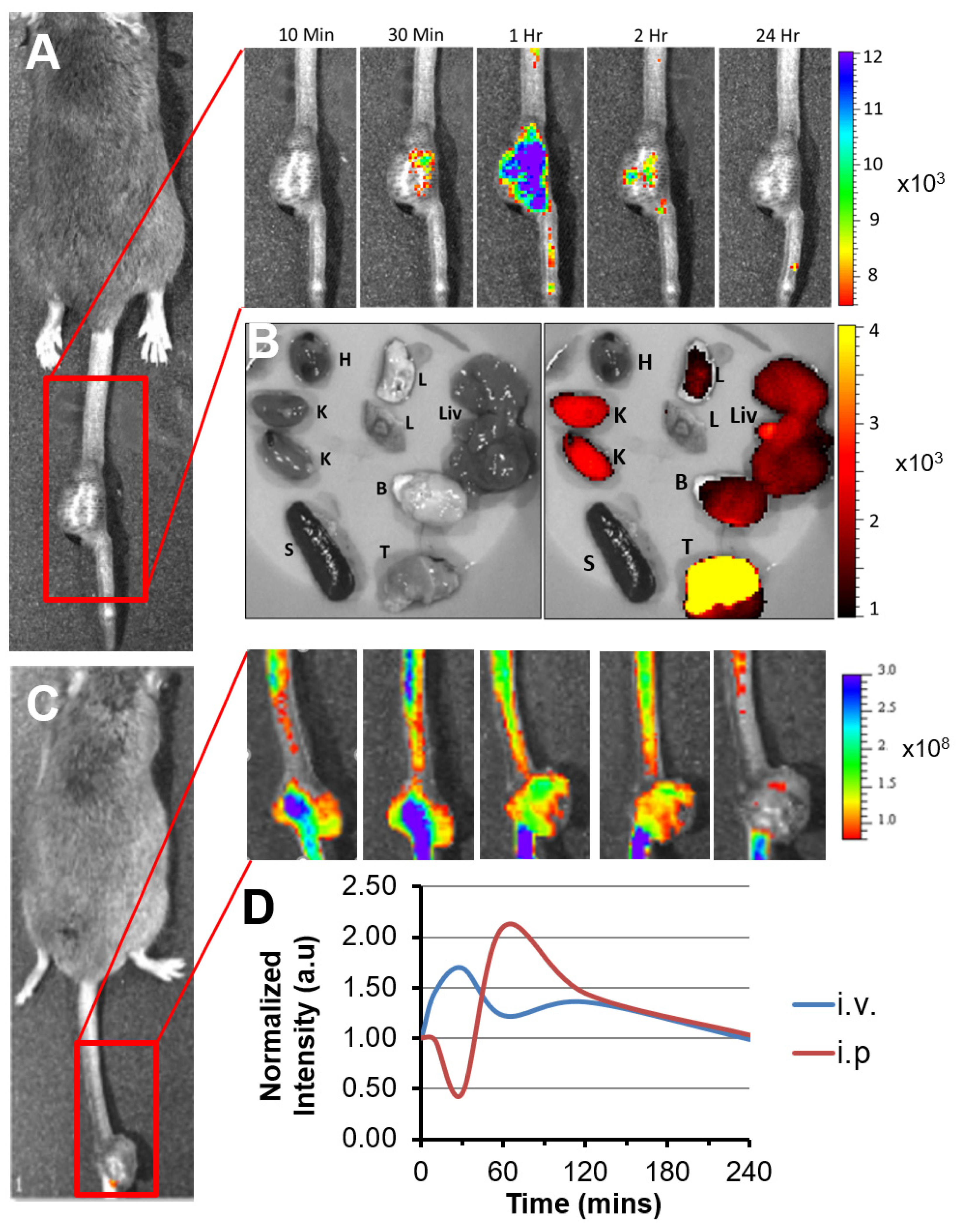 Nanomaterials 11 01582 g001 Nanomaterials 11 01582 g001