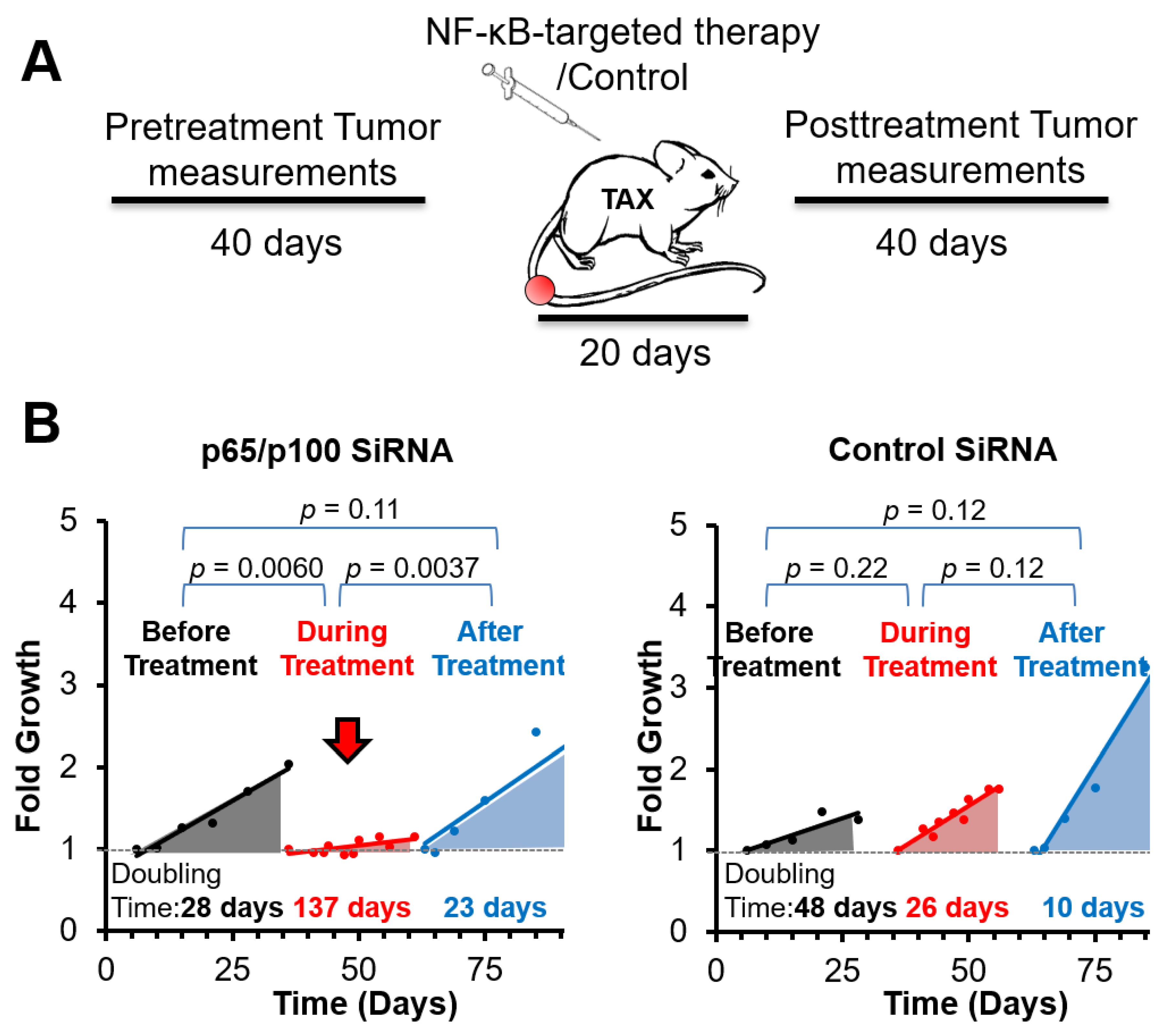 Nanomaterials 11 01582 g002 Nanomaterials 11 01582 g002