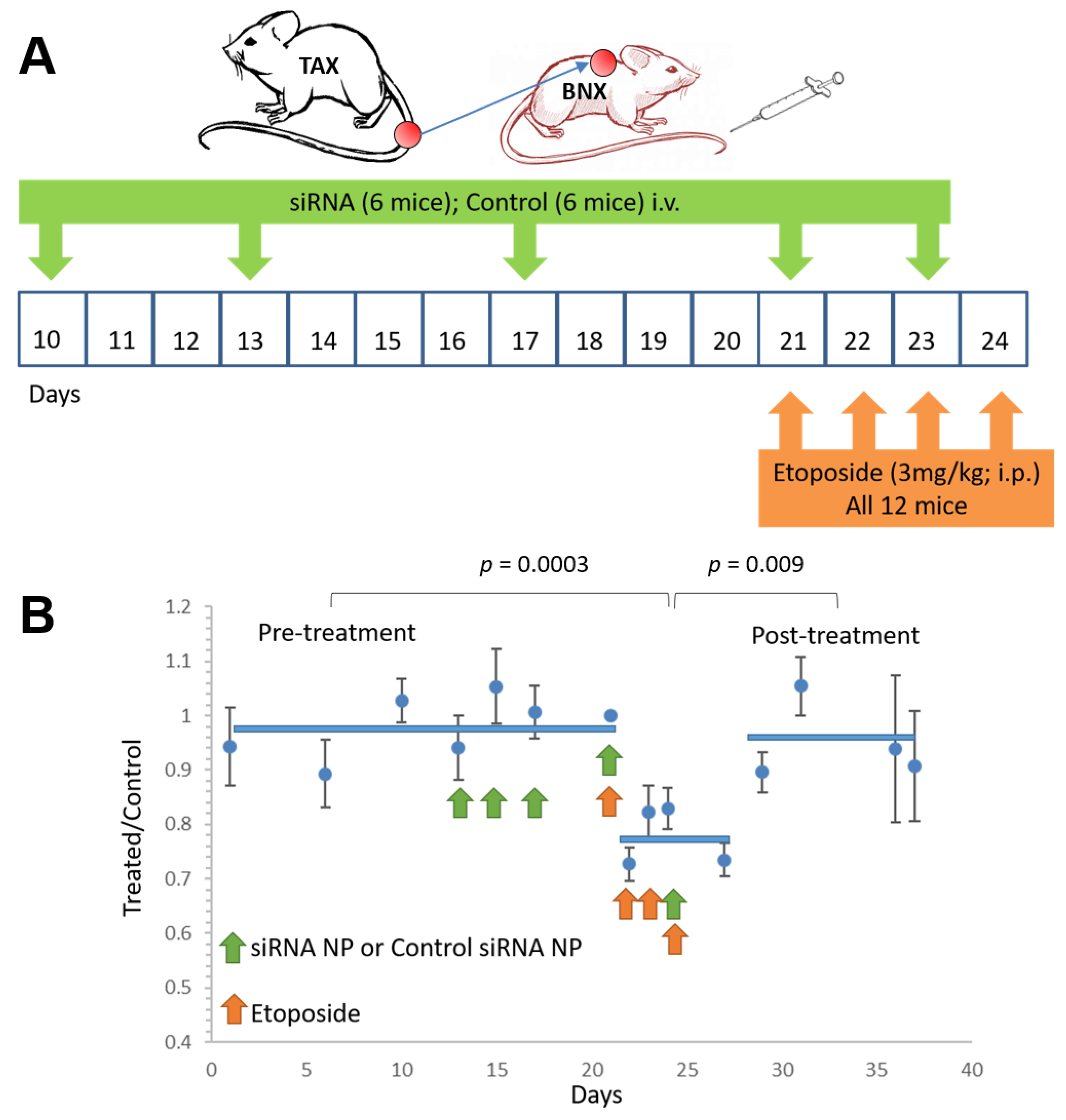 Nanomaterials 11 01582 g005 Nanomaterials 11 01582 g005
