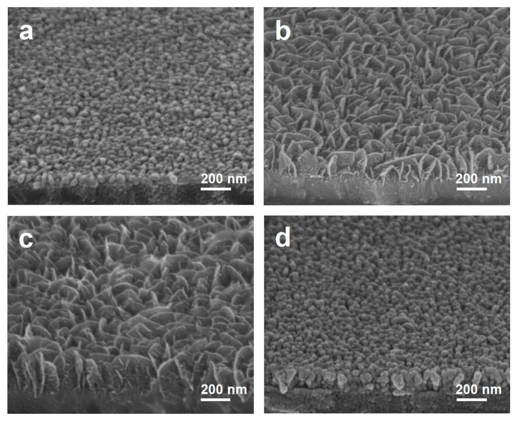 Nanomaterials 11 01585 g002