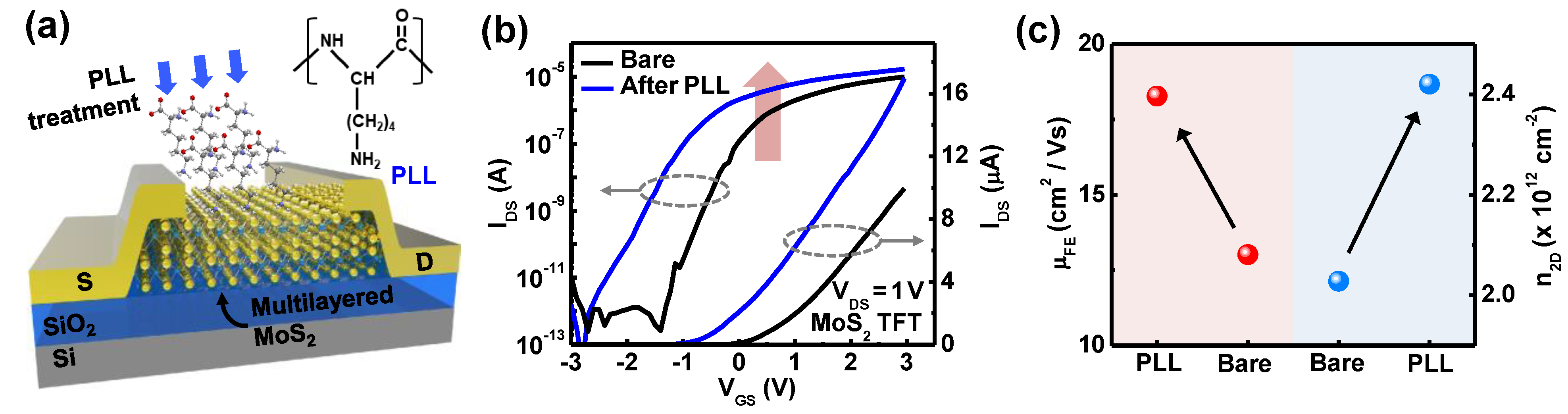 Nanomaterials 11 01586 g006