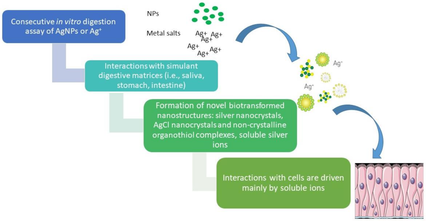 Nanomaterials 11 01587 sch003