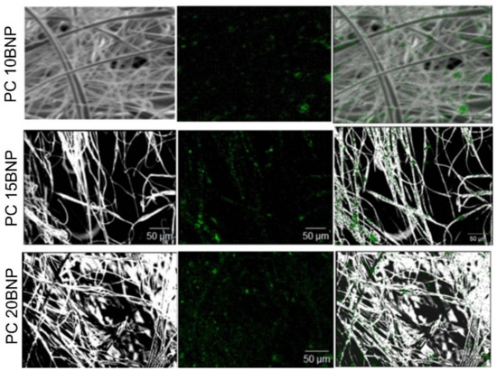 Nanomaterials 11 01591 g0a1