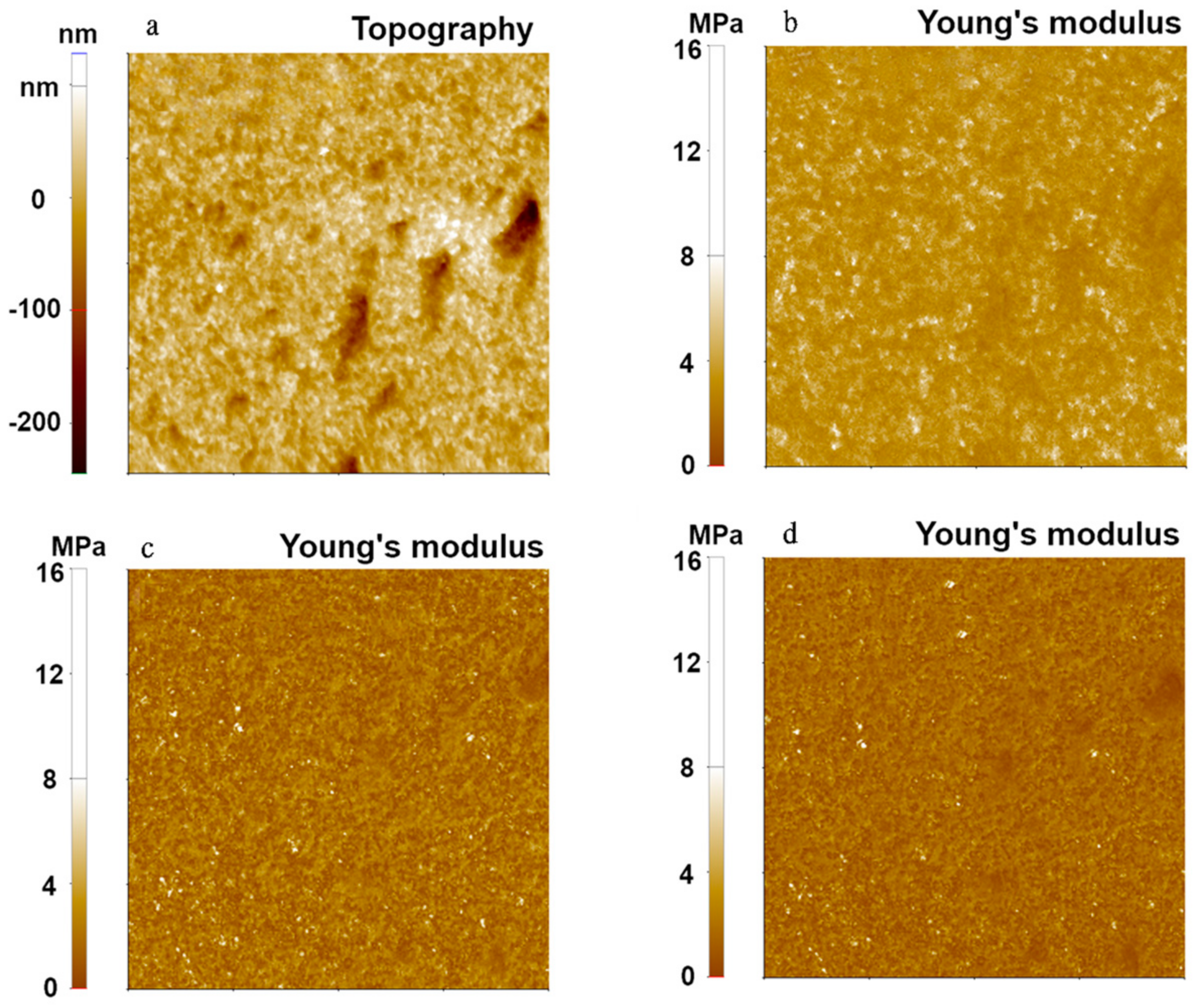 Nanomaterials 11 01593 g002