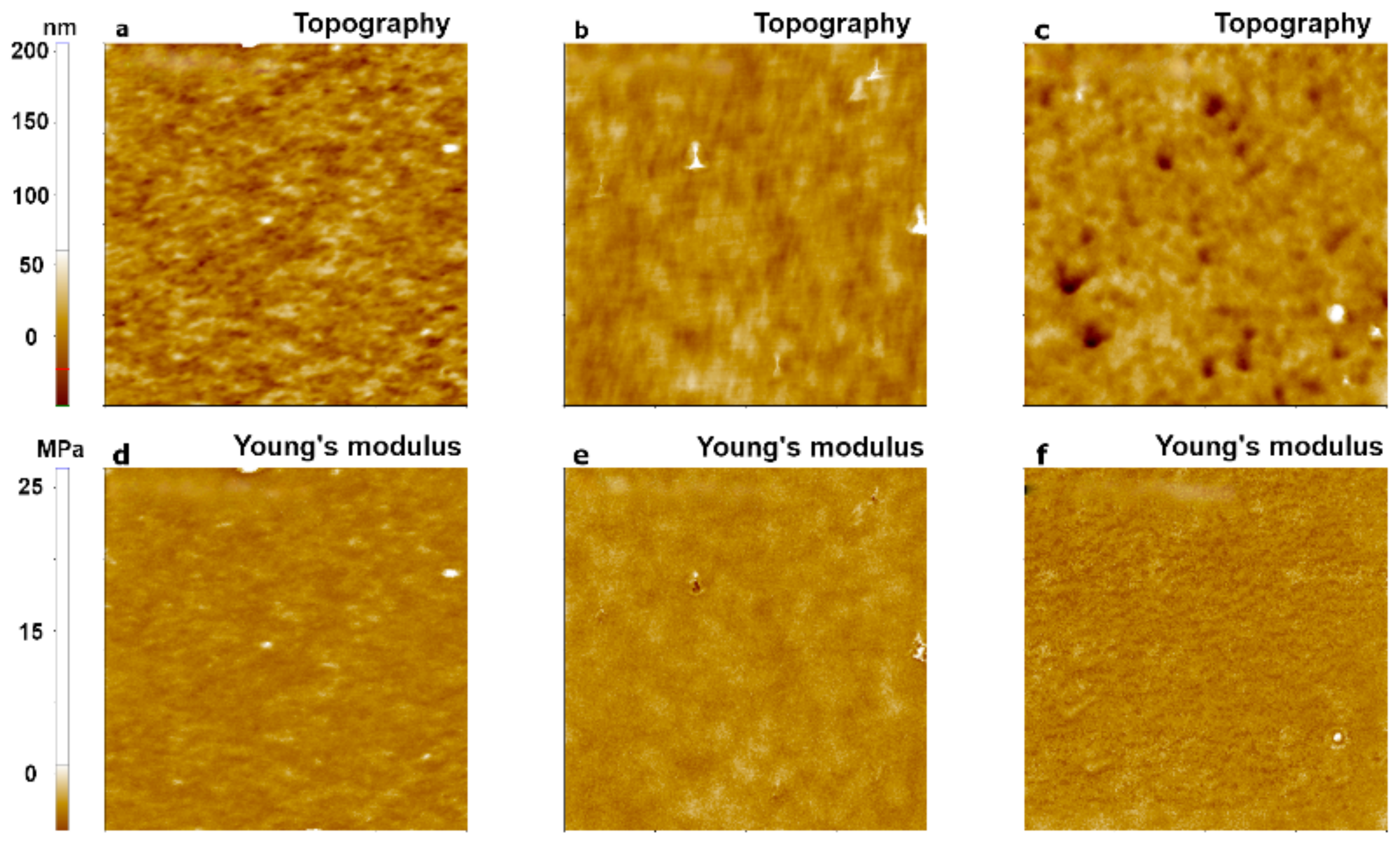 Nanomaterials 11 01593 g006