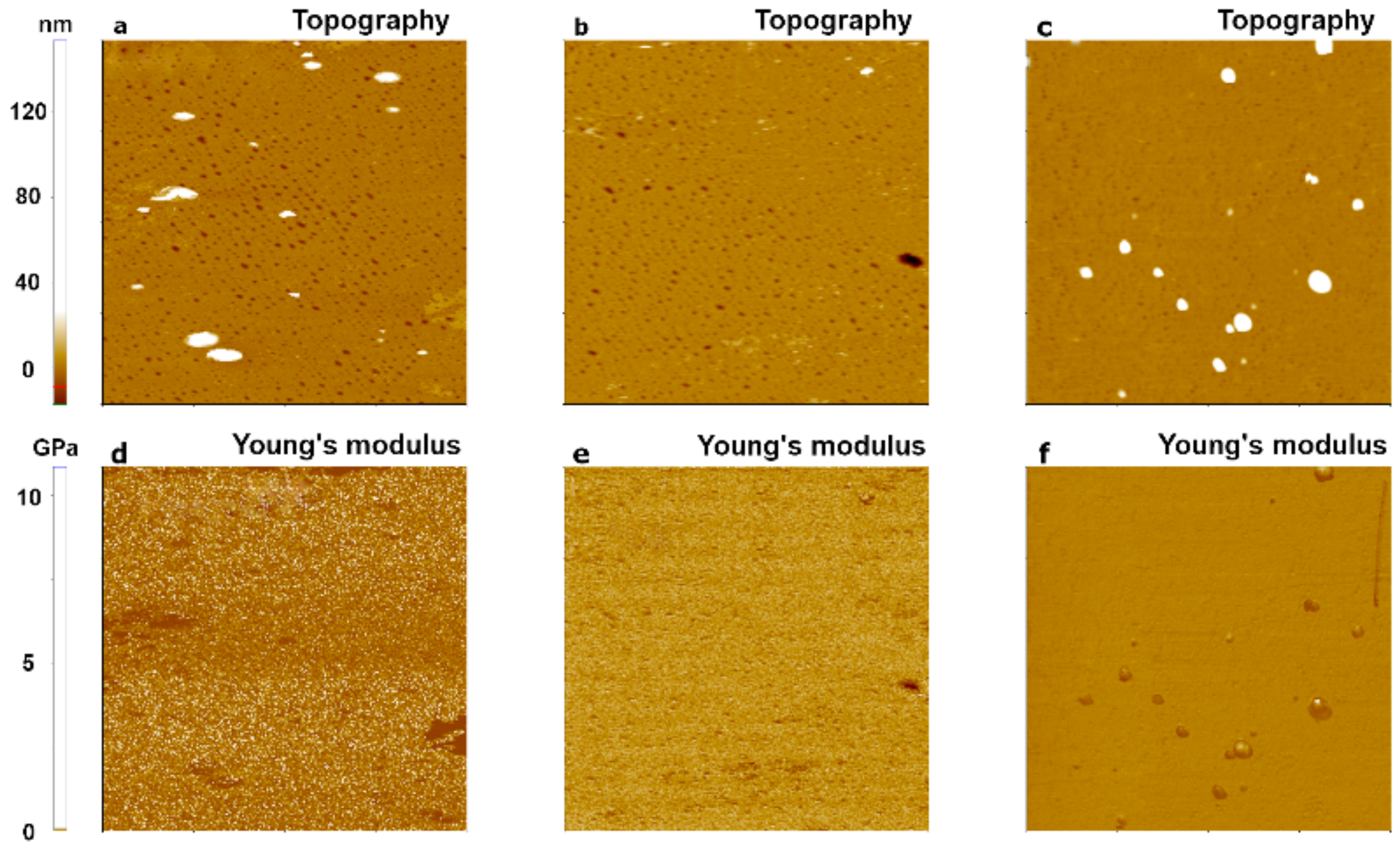 Nanomaterials 11 01593 g007