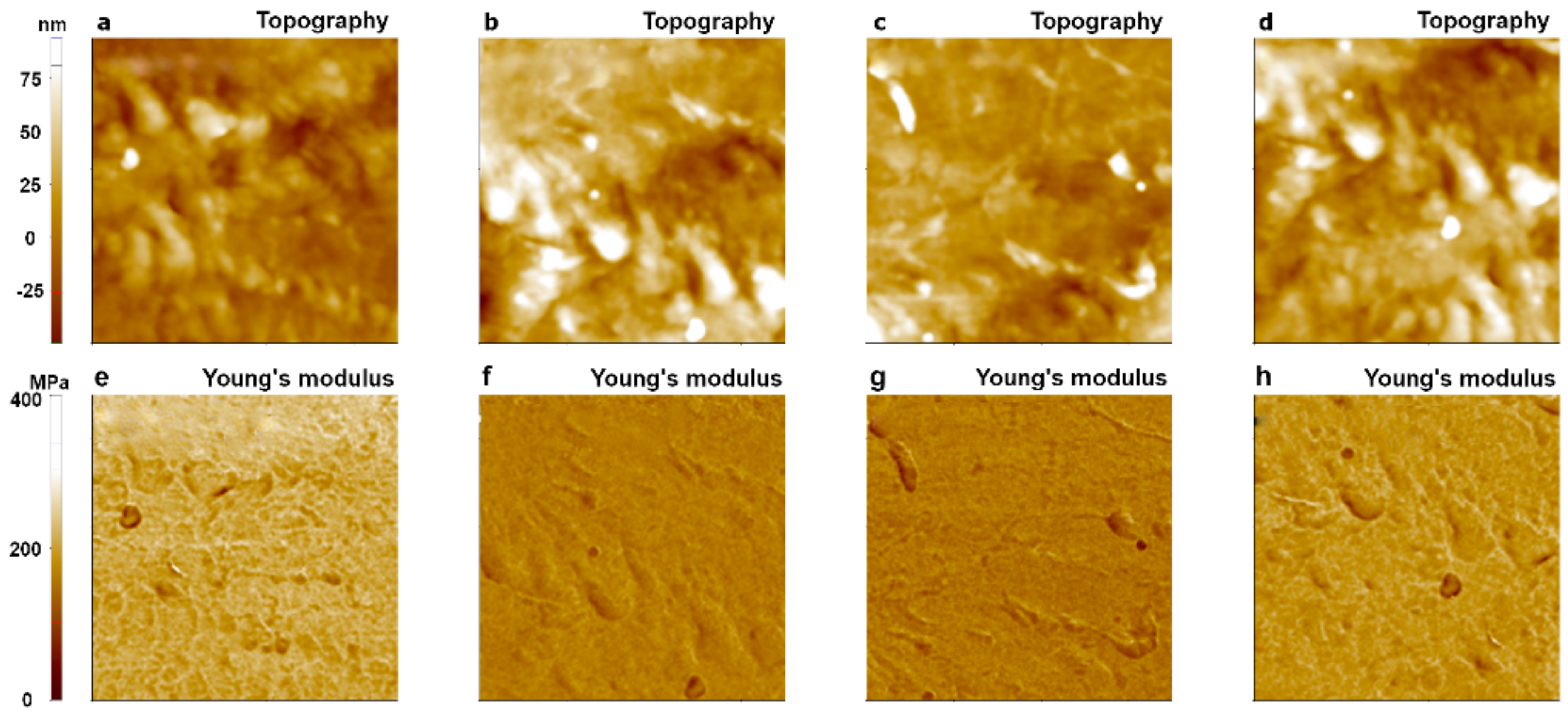 Nanomaterials 11 01593 g011
