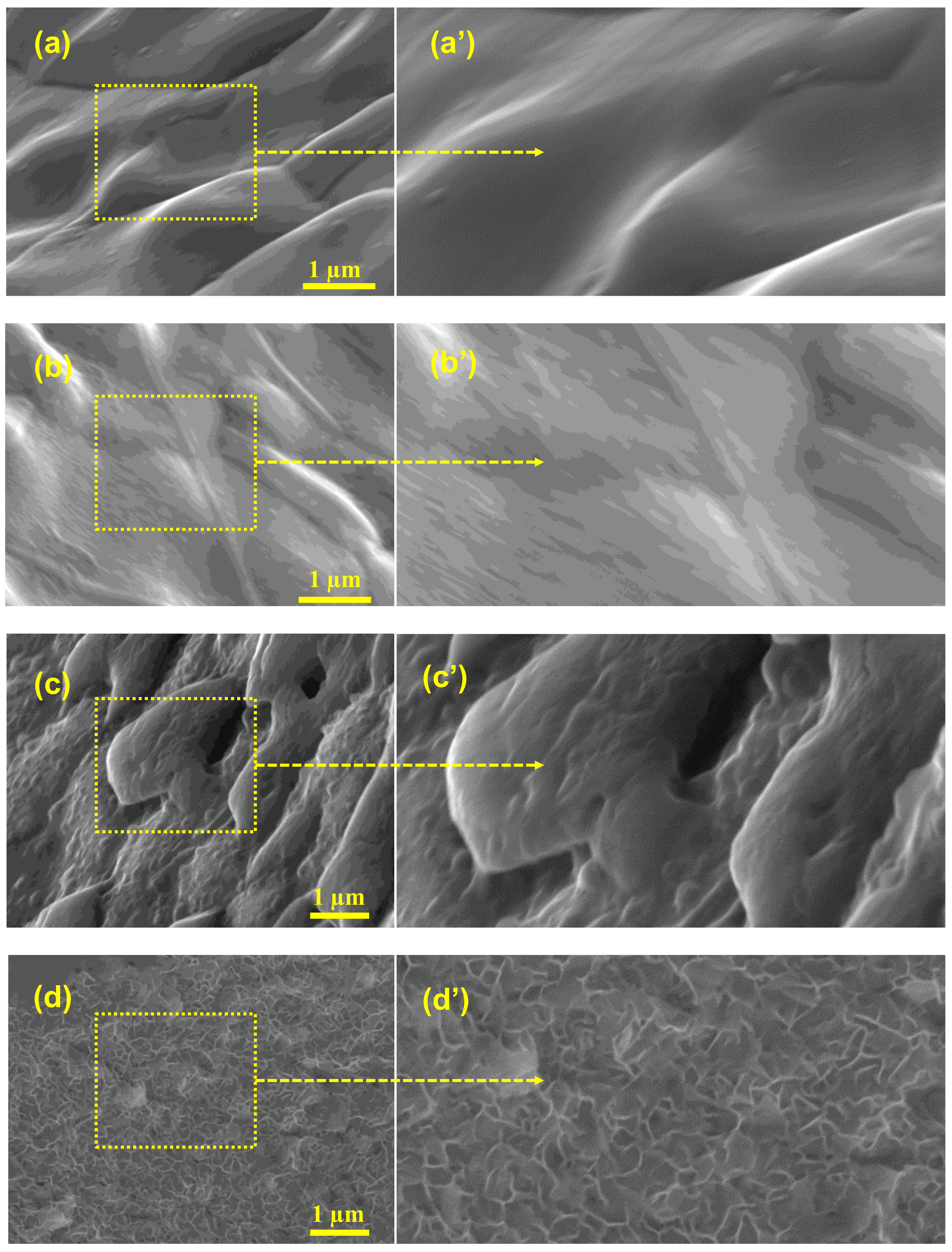 Nanomaterials 11 01596 g002
