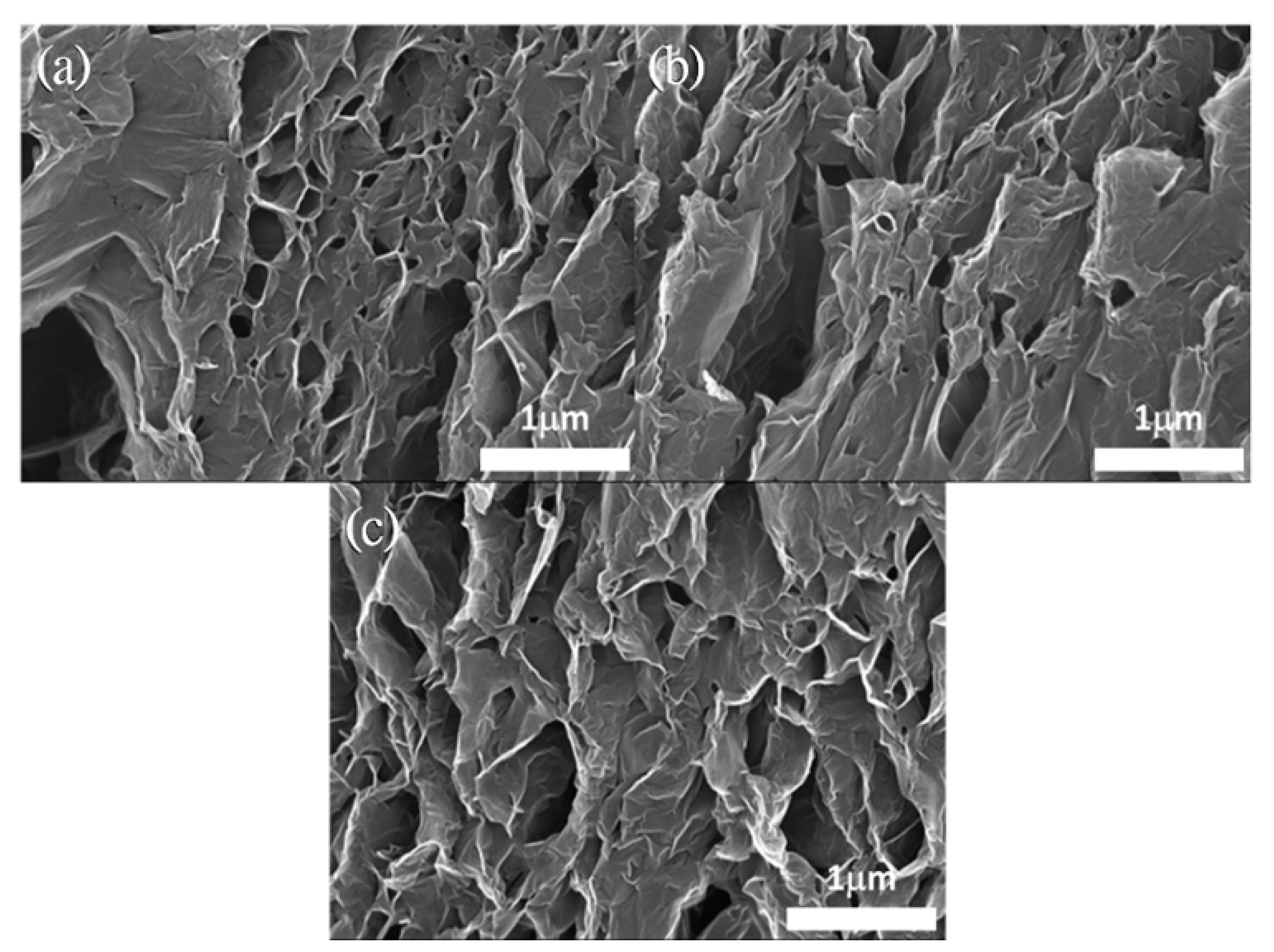 Nanomaterials 11 01603 g008