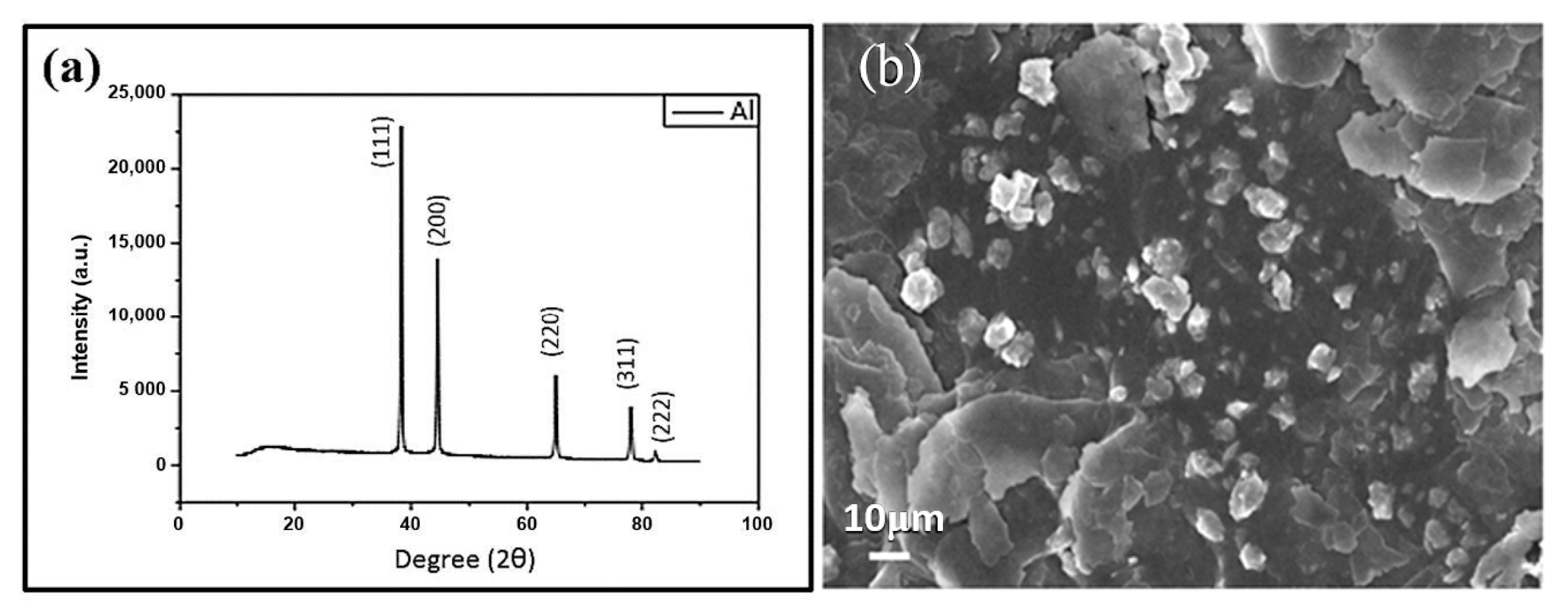 Nanomaterials 11 01603 g013