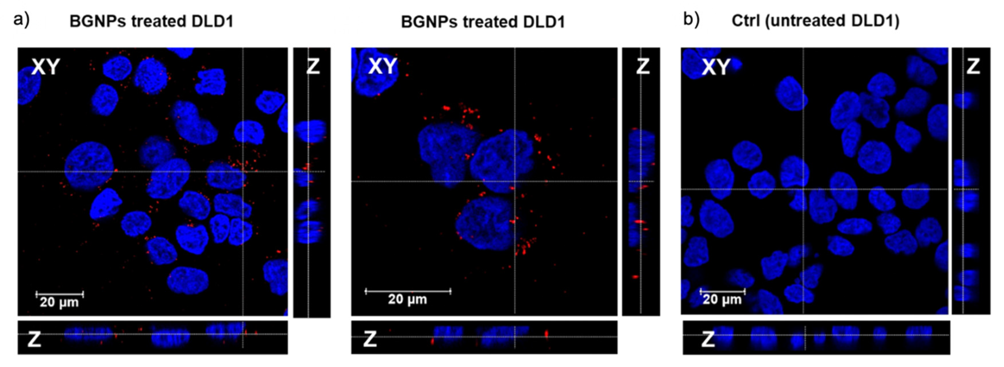 Nanomaterials 11 01608 g004