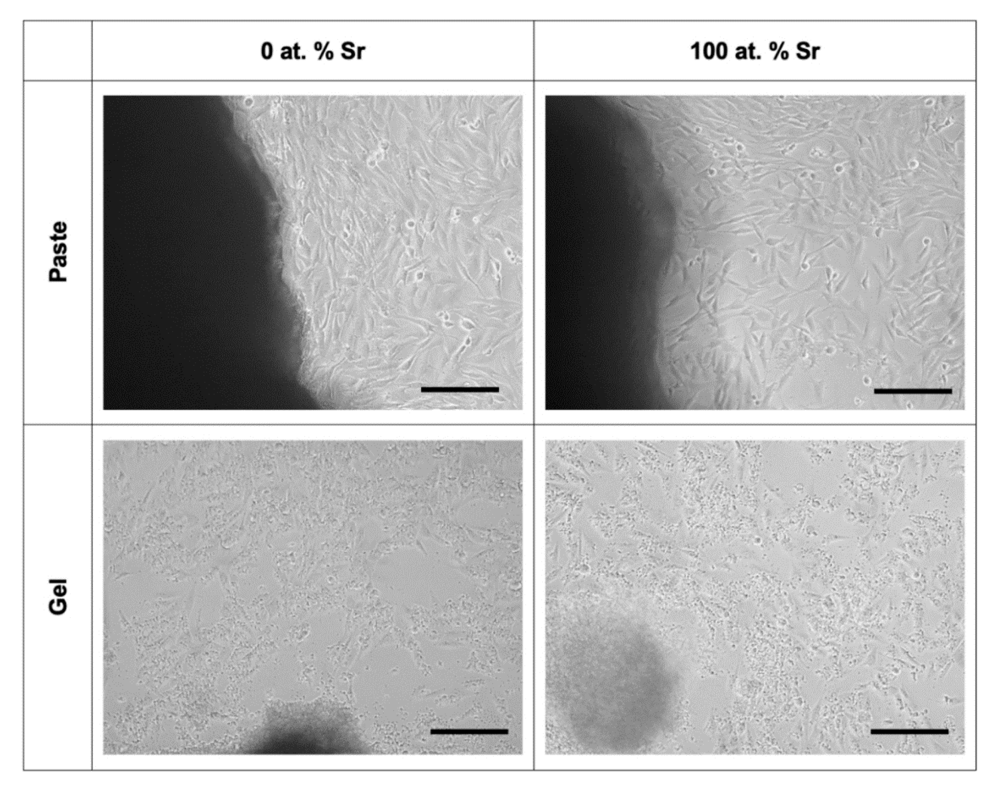 Nanomaterials 11 01611 g007