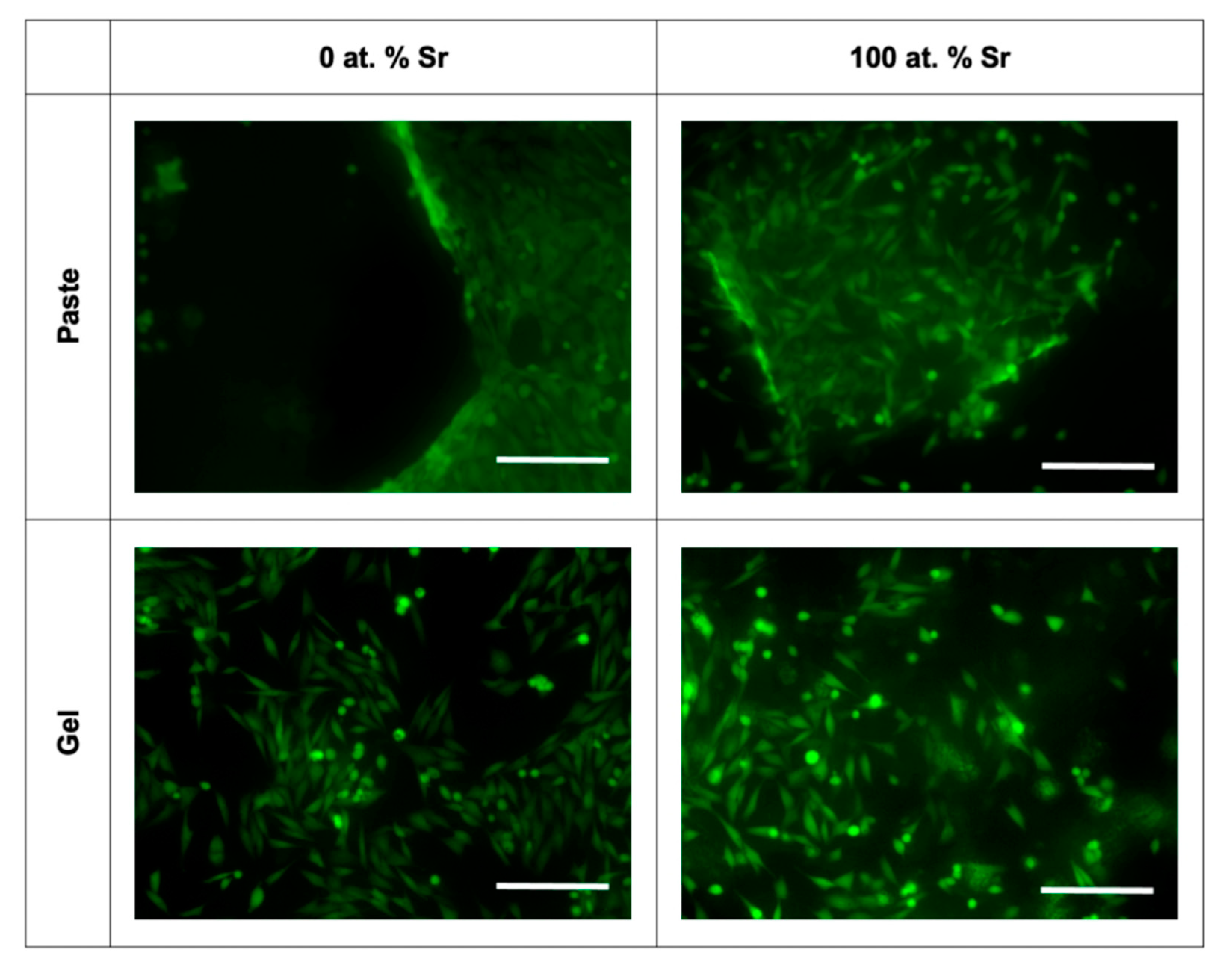 Nanomaterials 11 01611 g008