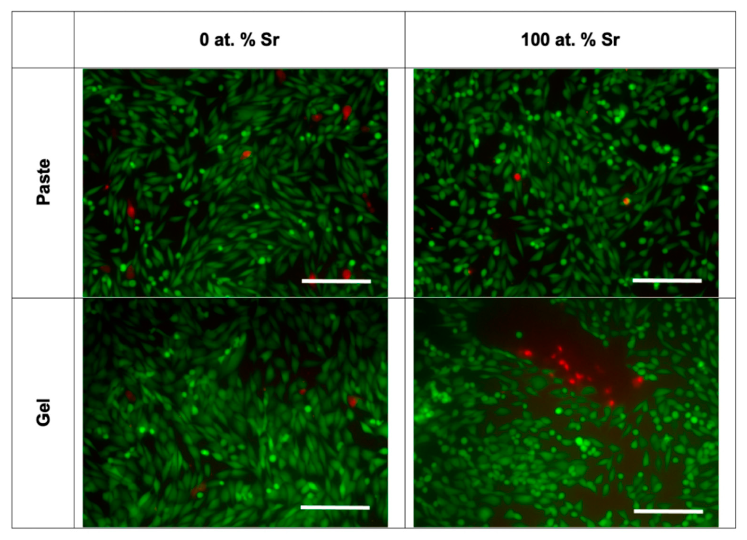 Nanomaterials 11 01611 g010