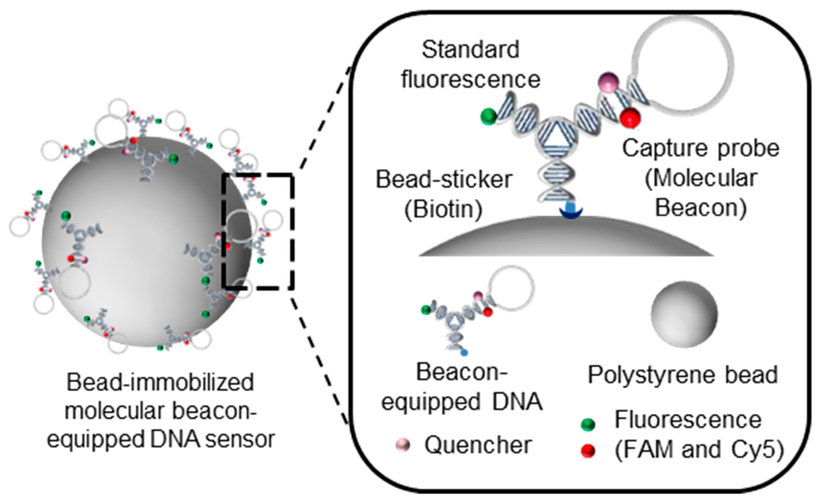 Nanomaterials 11 01617 g001