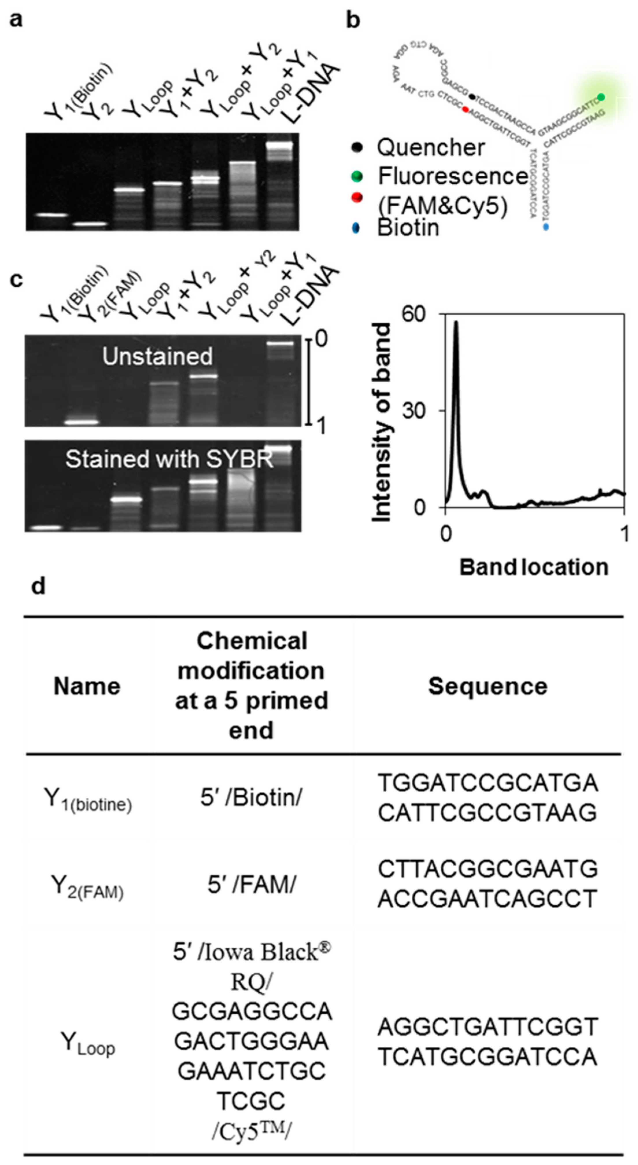 Nanomaterials 11 01617 g003