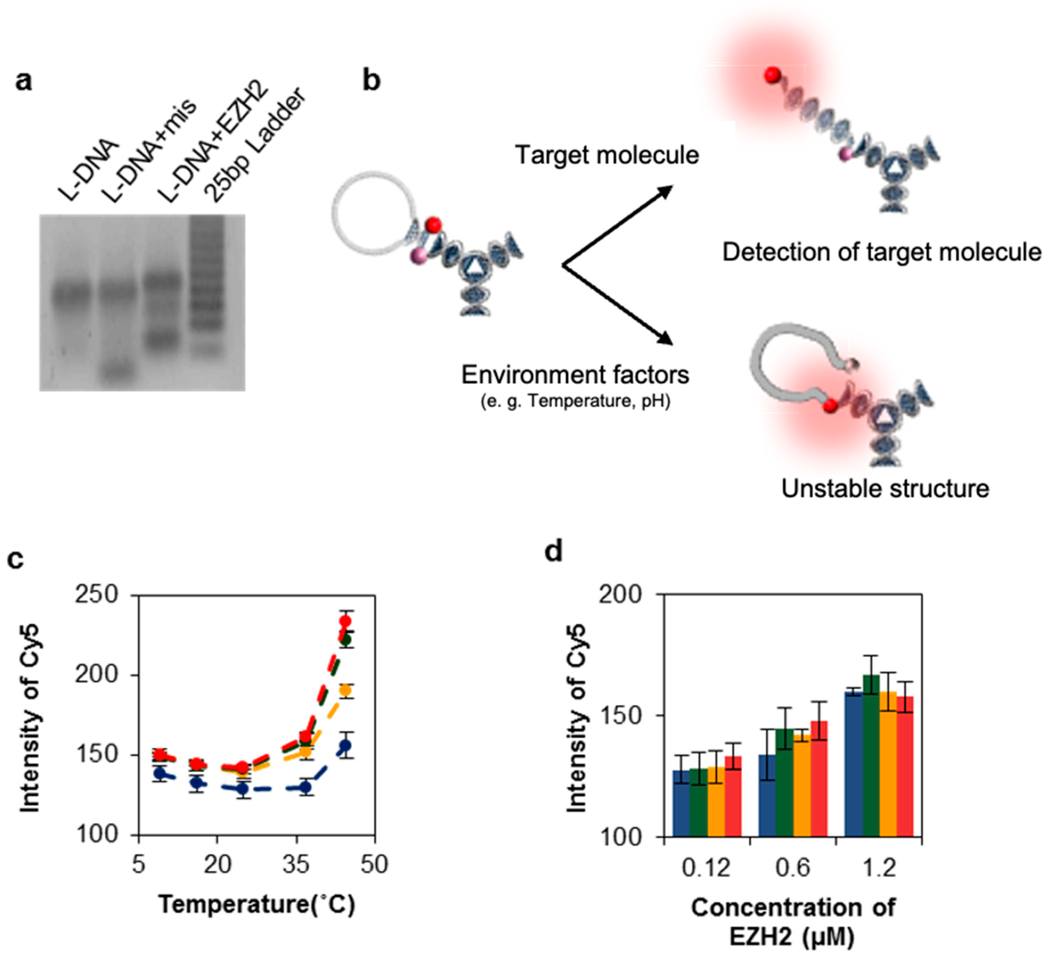 Nanomaterials 11 01617 g004