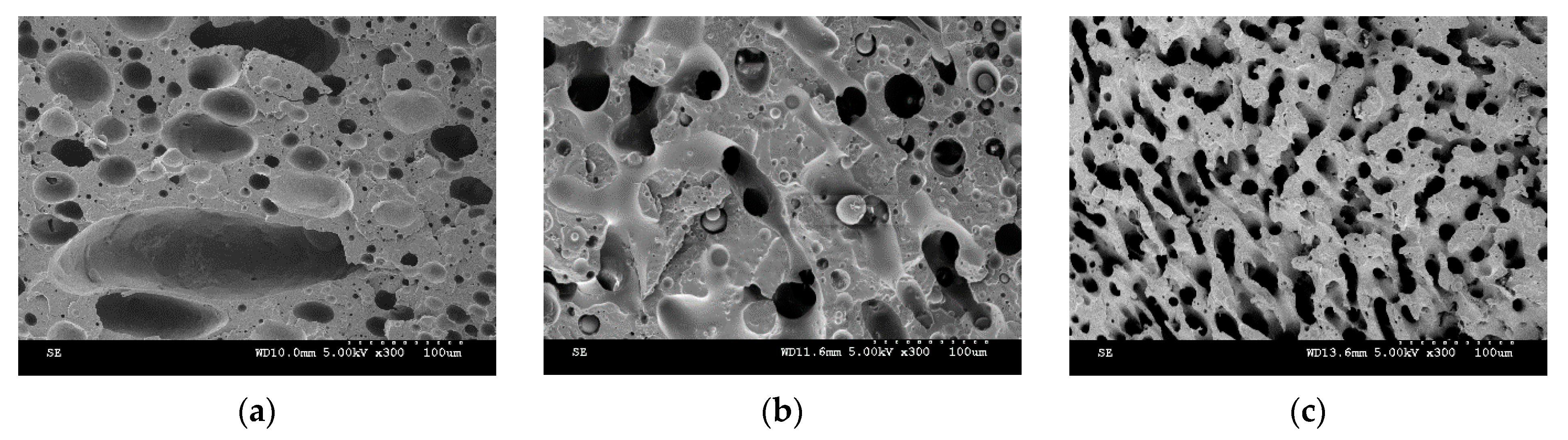Nanomaterials 11 01620 g003