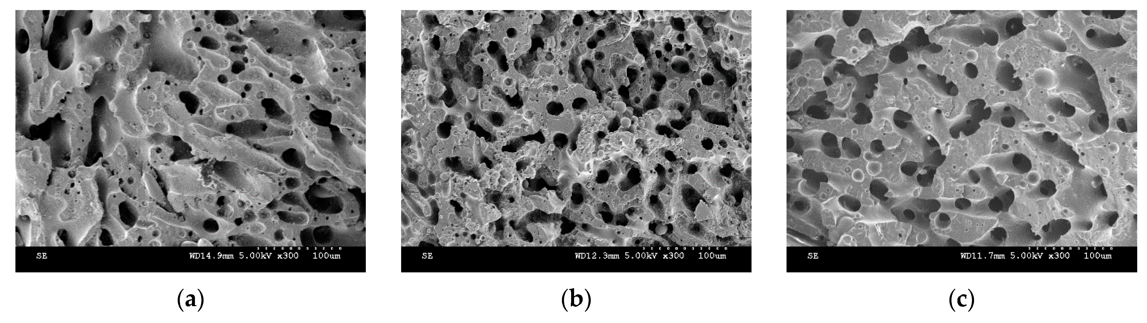 Nanomaterials 11 01620 g005