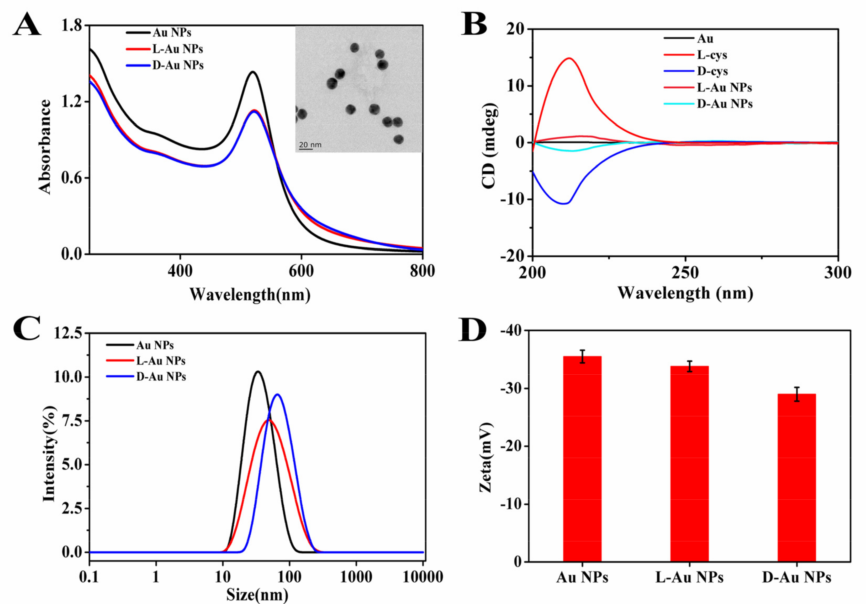 Nanomaterials 11 01621 g001