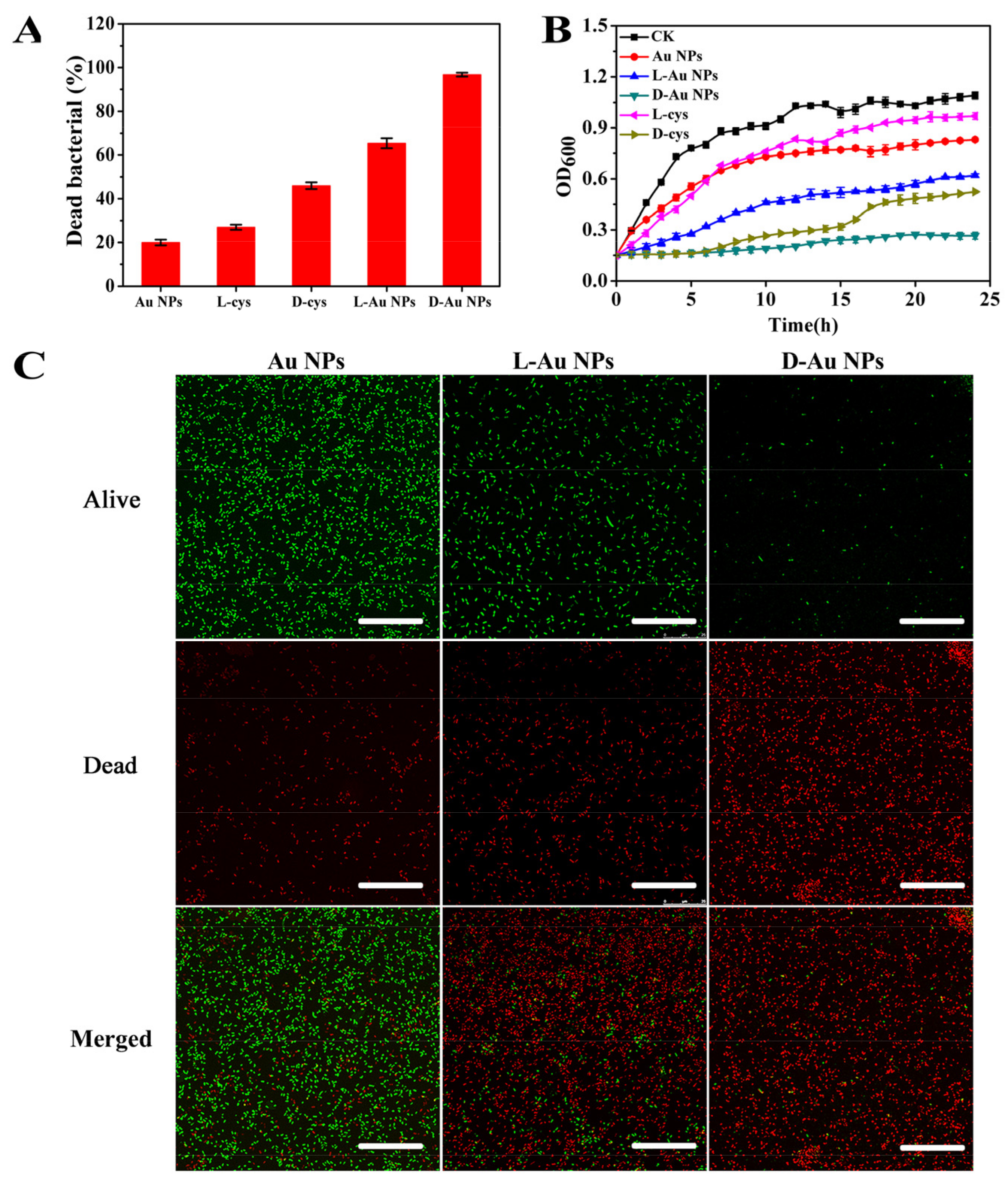 Nanomaterials 11 01621 g002