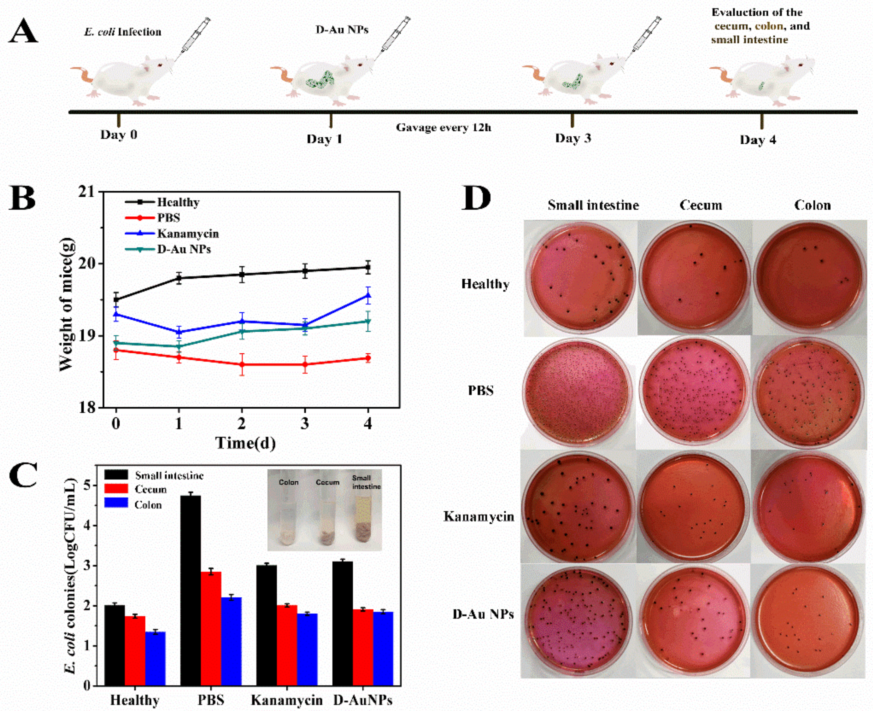 Nanomaterials 11 01621 g004