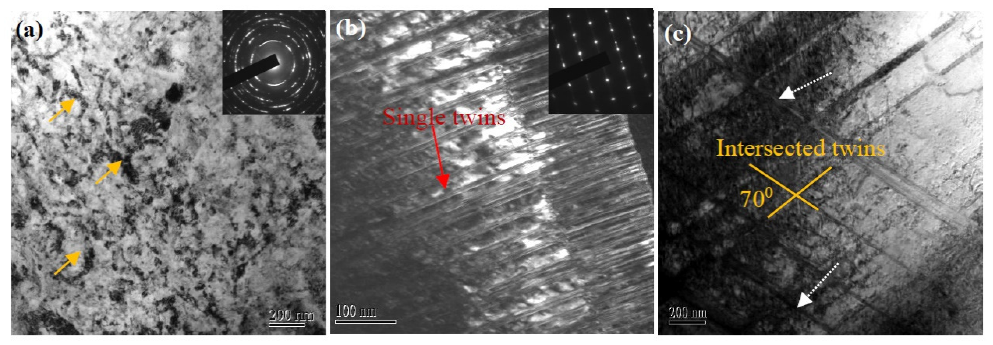 Nanomaterials 11 01624 g008
