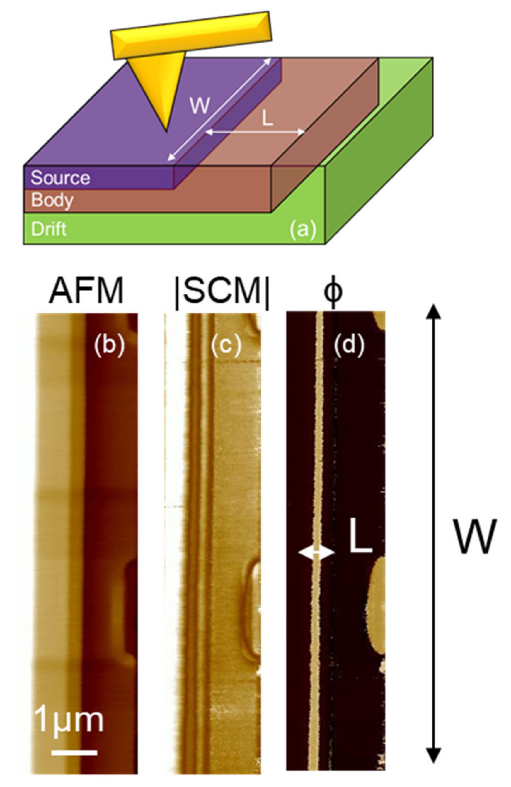 Nanomaterials 11 01626 g003