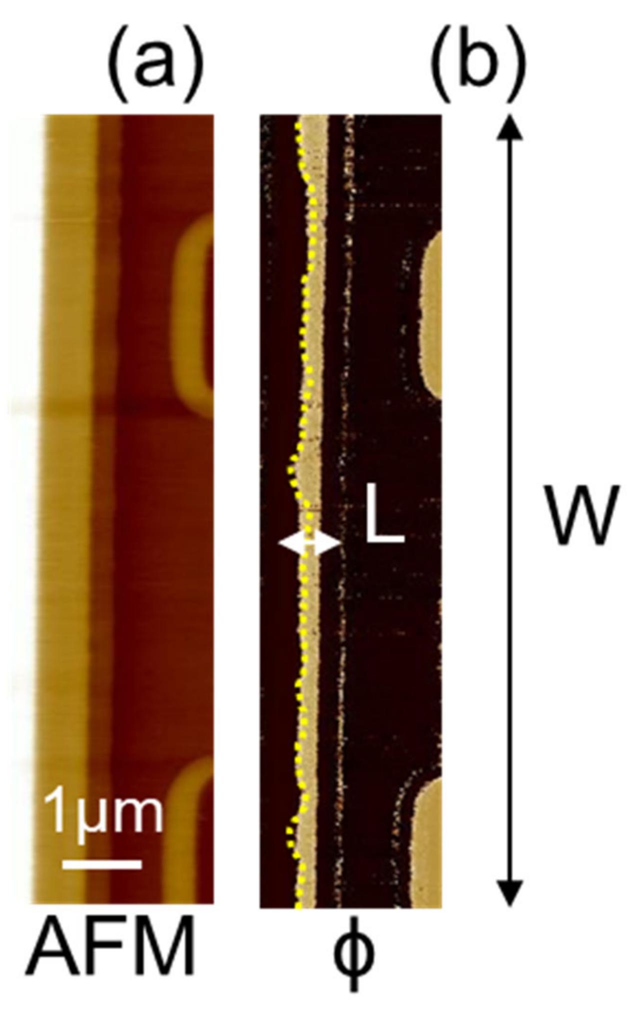 Nanomaterials 11 01626 g009
