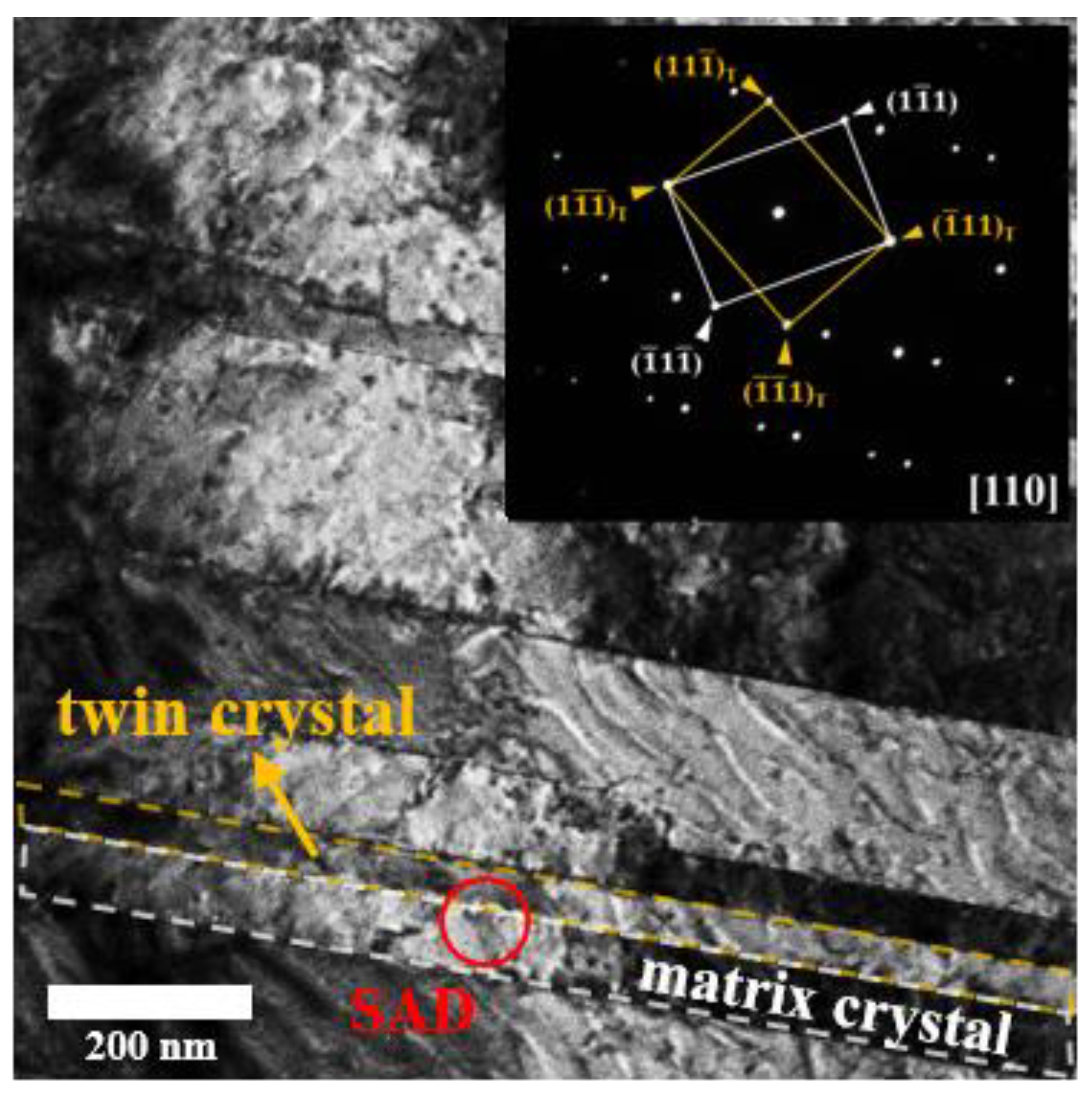 Nanomaterials 11 01630 g002