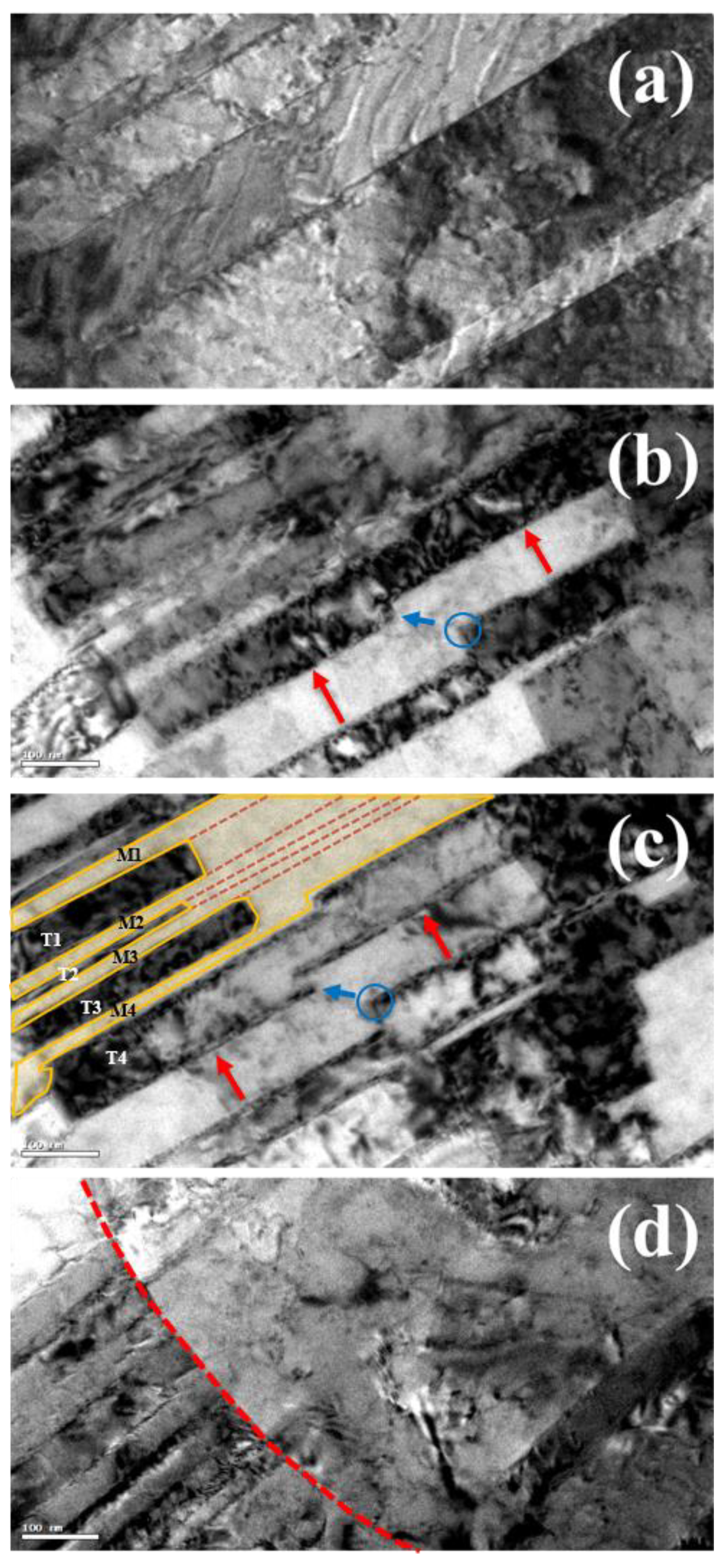 Nanomaterials 11 01630 g004