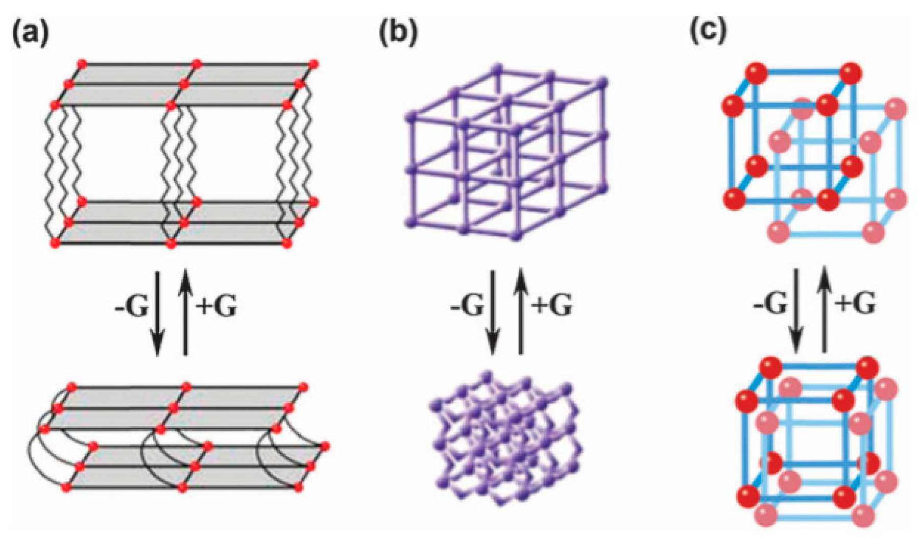 Nanomaterials 11 01638 g007