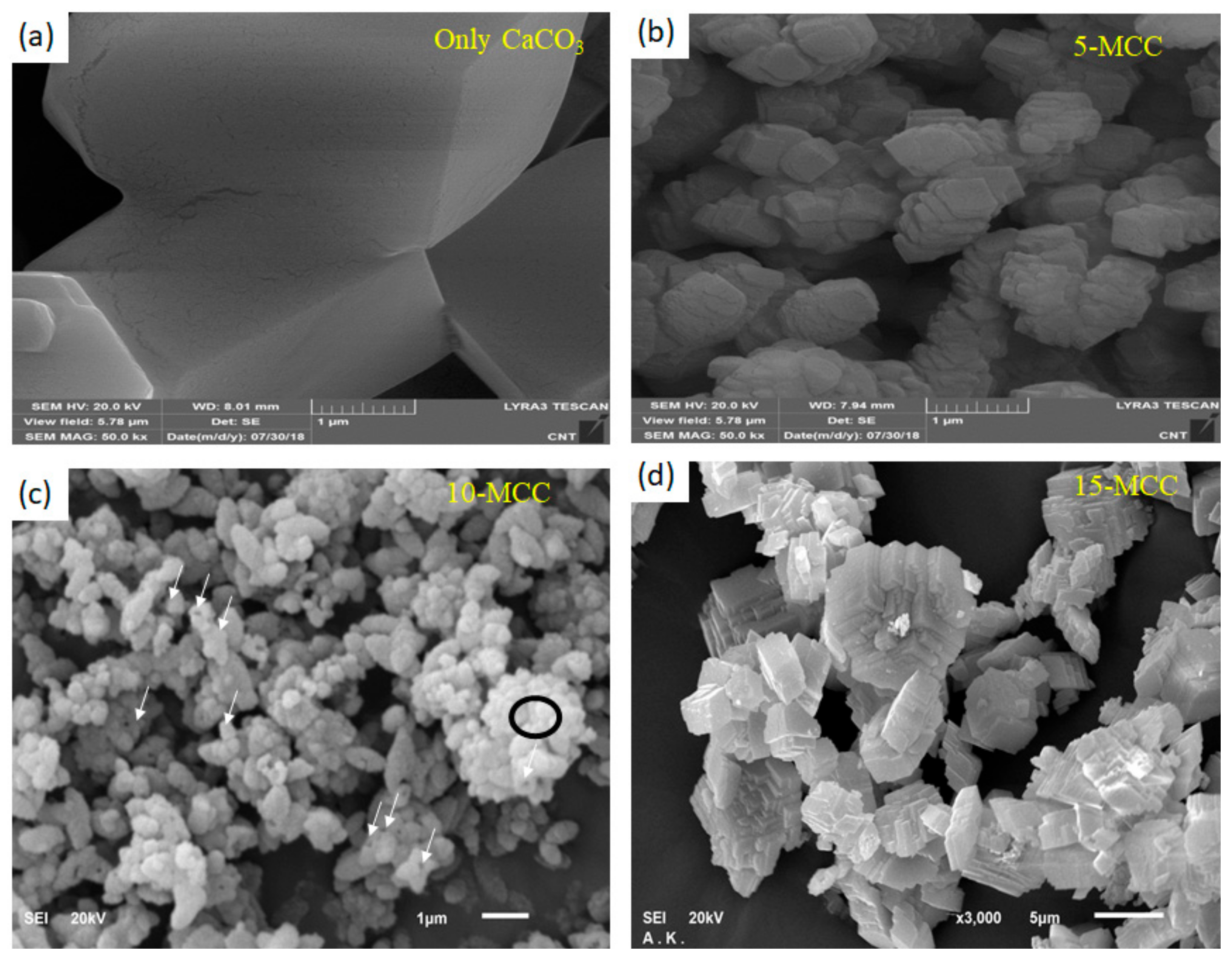 Nanomaterials 11 01639 g003