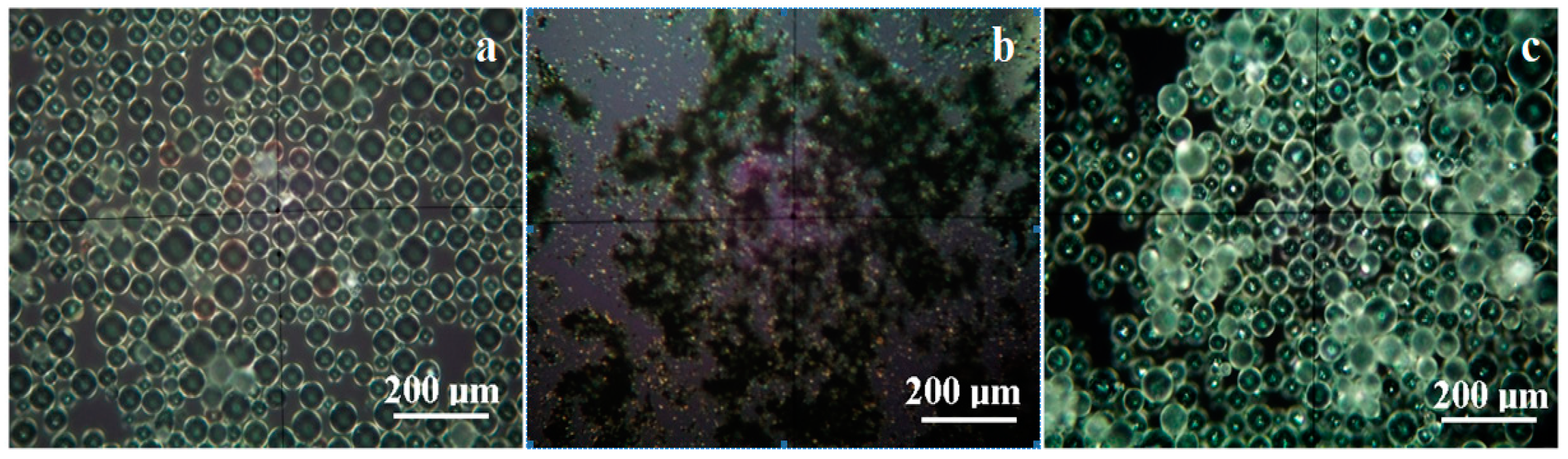 Nanomaterials 11 01643 g001