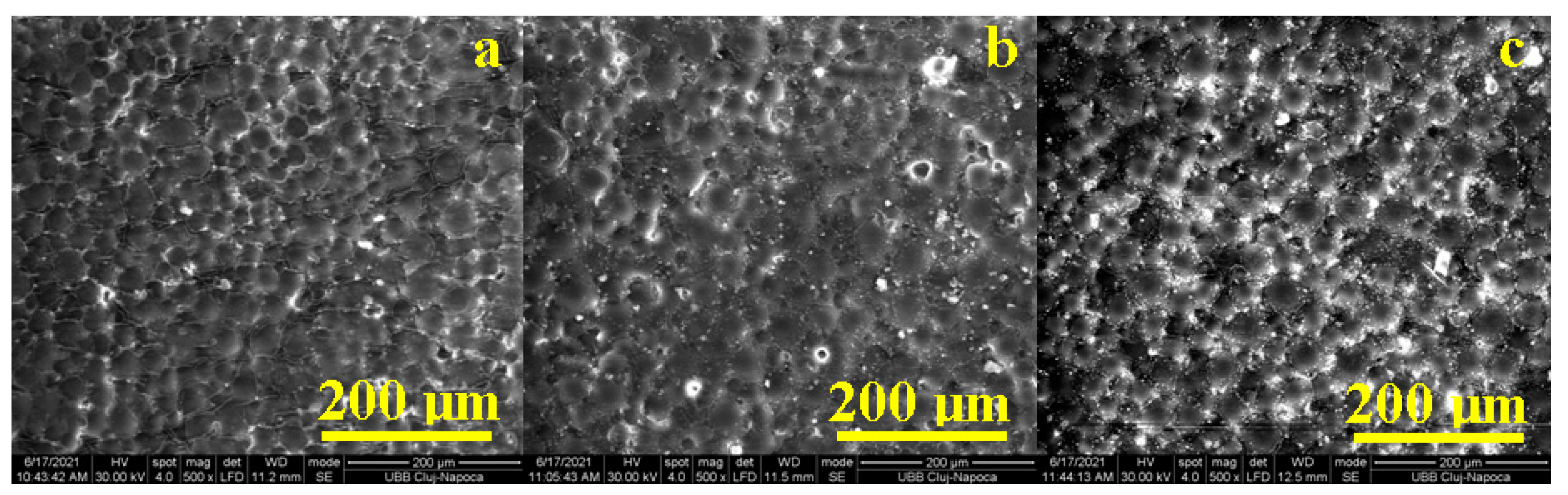 Nanomaterials 11 01643 g003