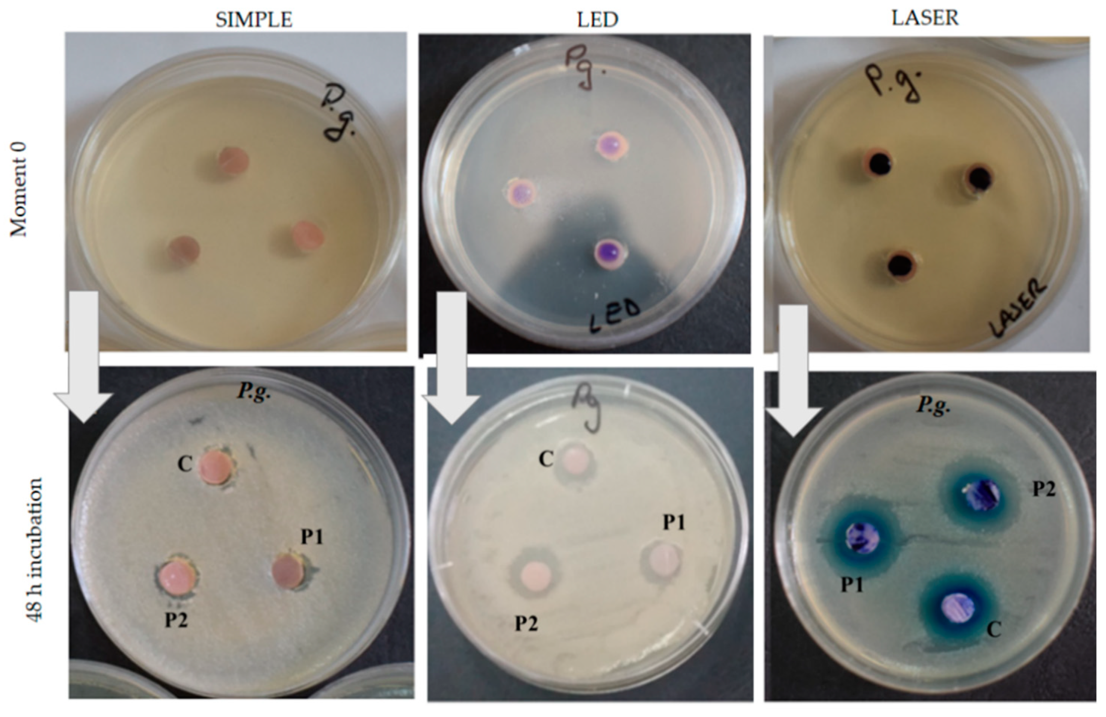 Nanomaterials 11 01643 g005