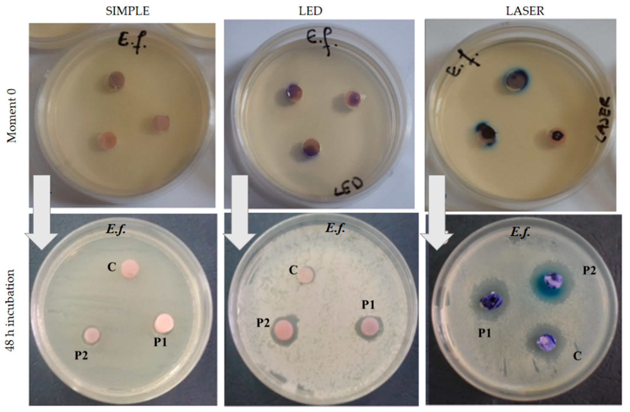 Nanomaterials 11 01643 g006