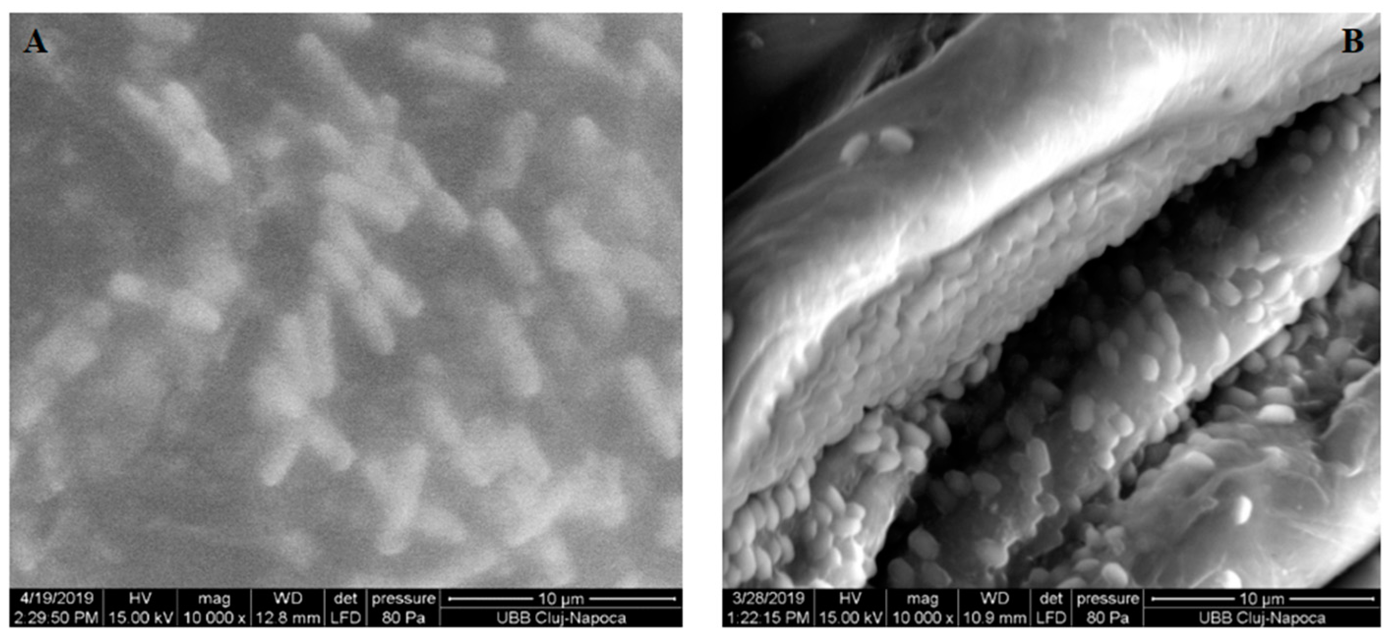 Nanomaterials 11 01643 g008