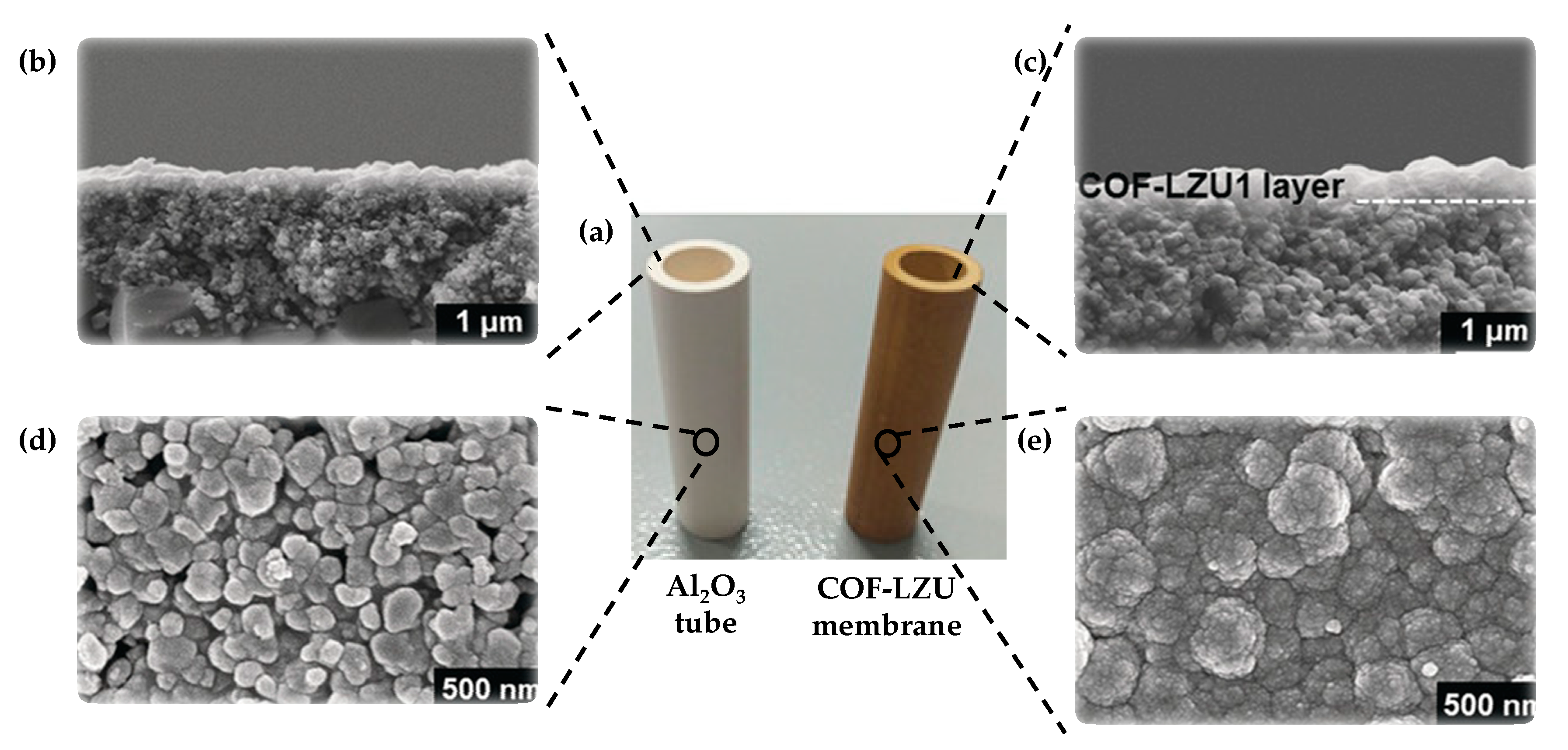 Nanomaterials 11 01651 g004