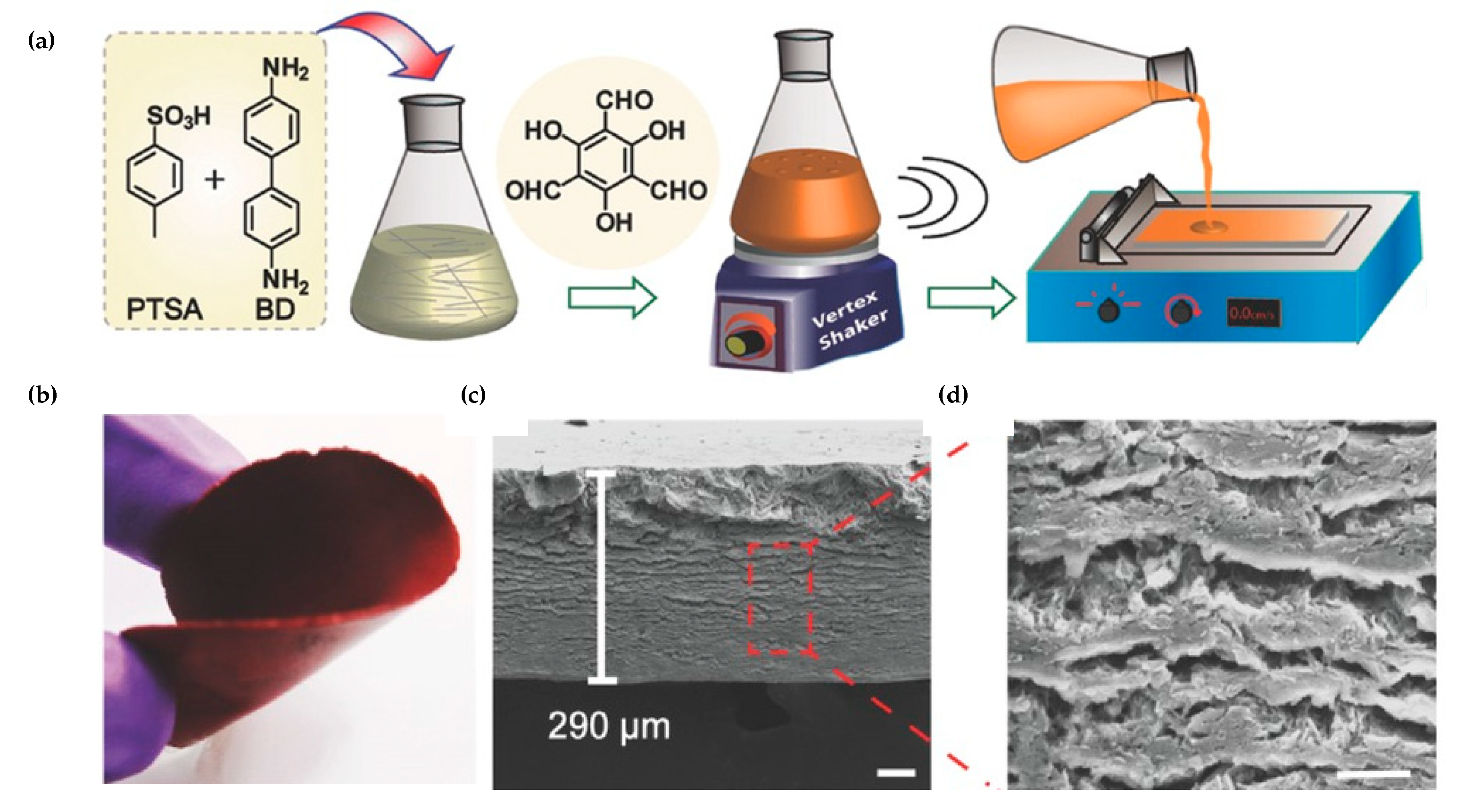 Nanomaterials 11 01651 g005
