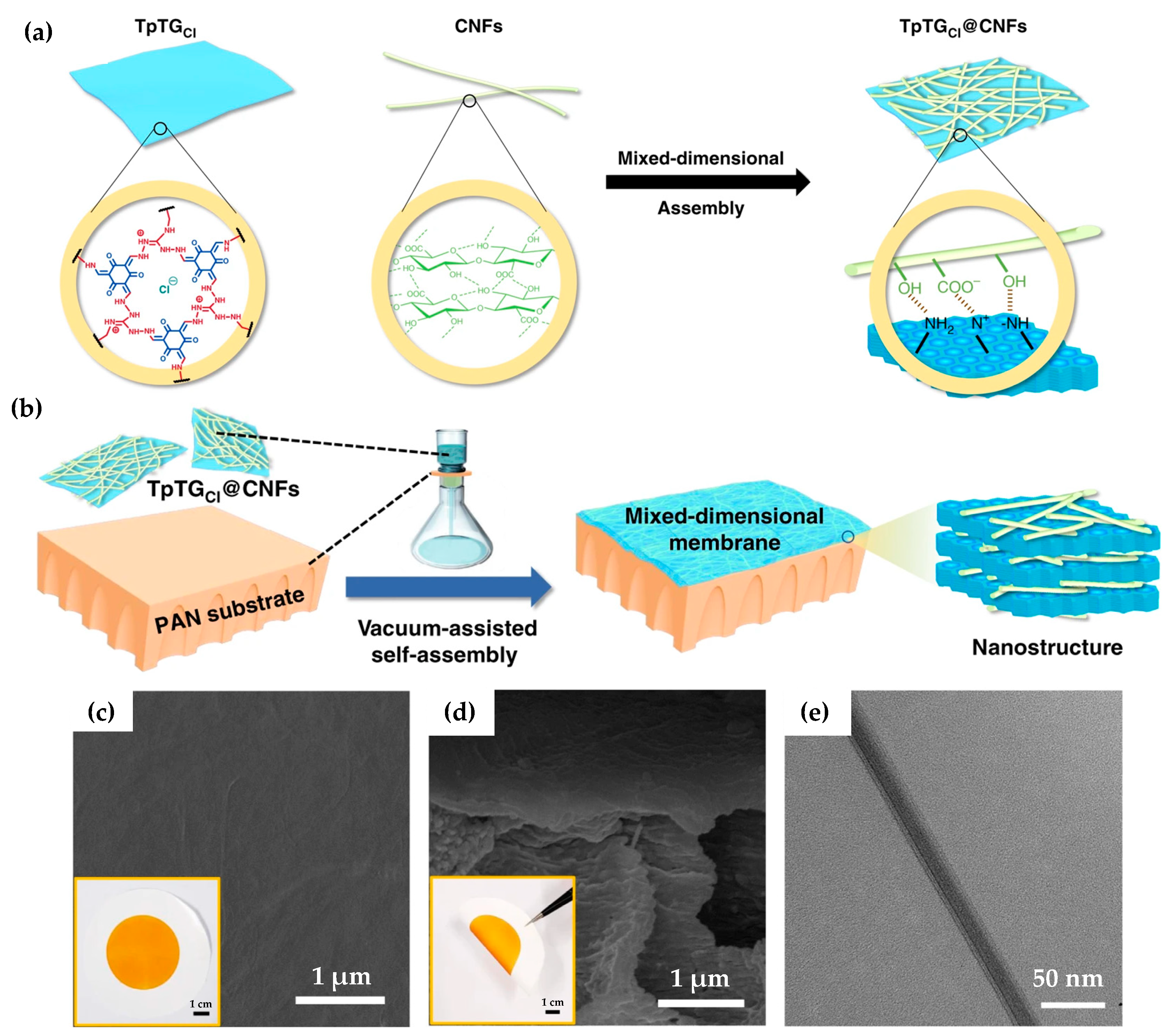 Nanomaterials 11 01651 g008