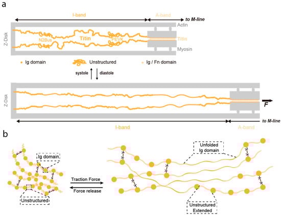 Nanomaterials 11 01656 g004