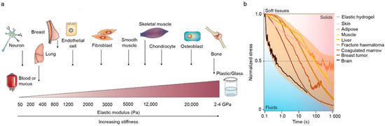 Nanomaterials 11 01656 g005
