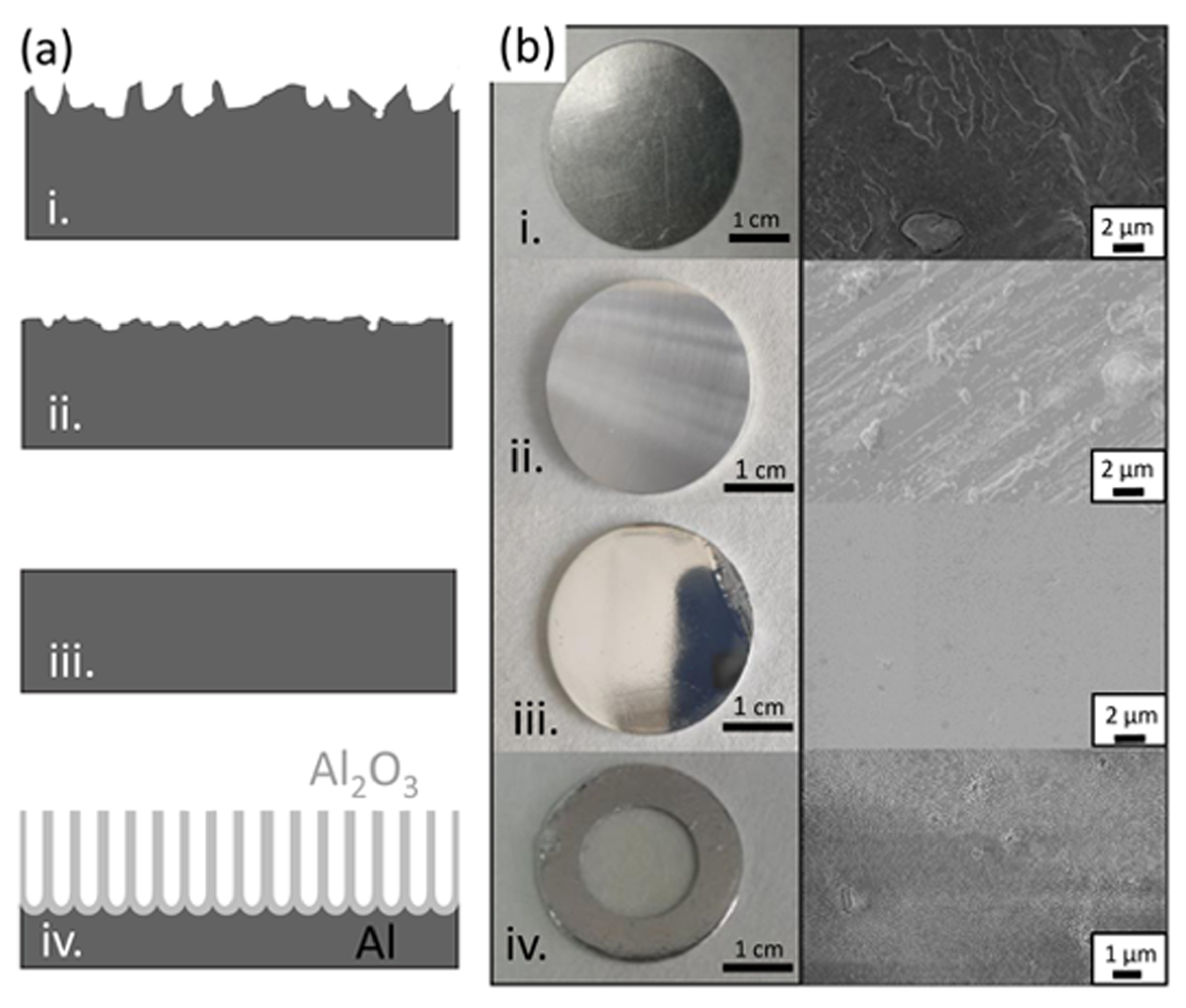 Nanomaterials 11 01657 g001